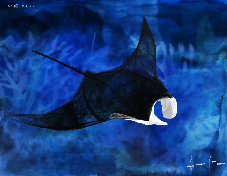 A Manta Moment