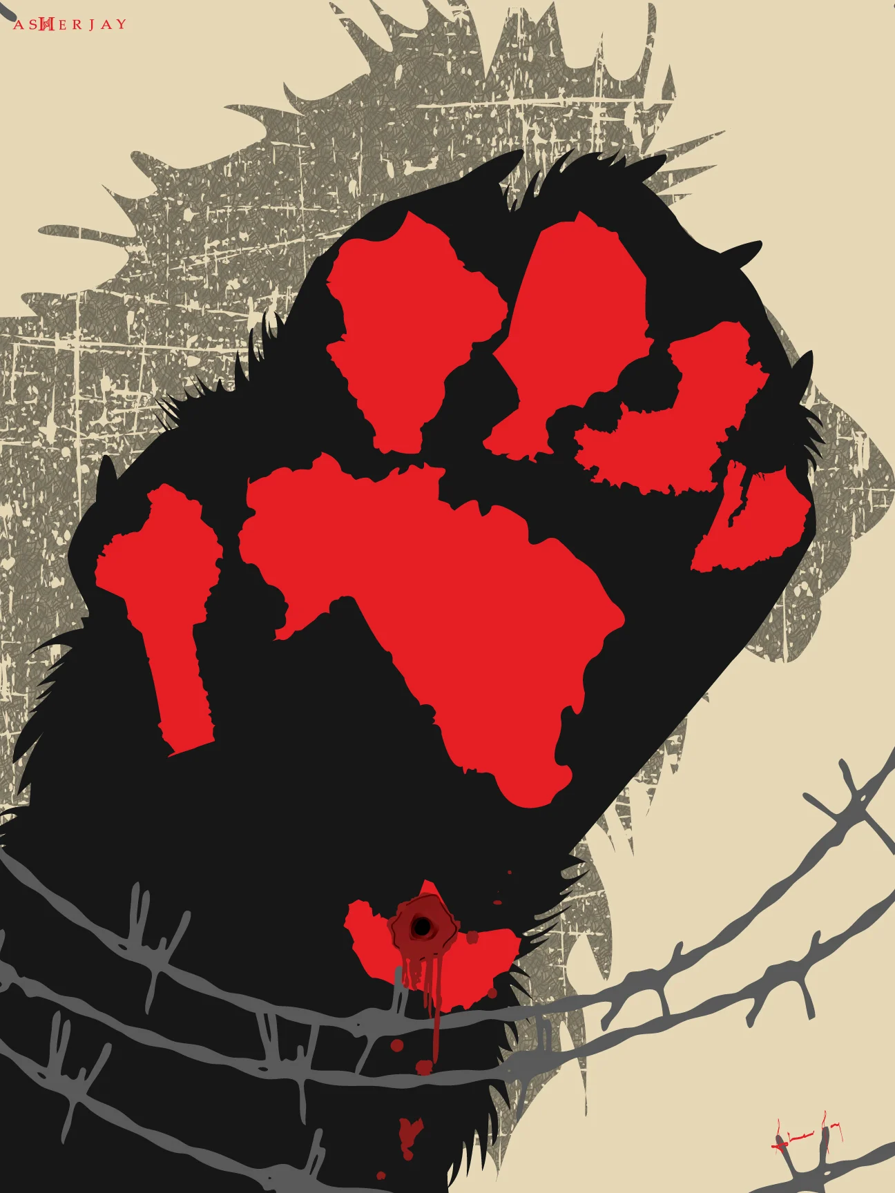 Lost Paws