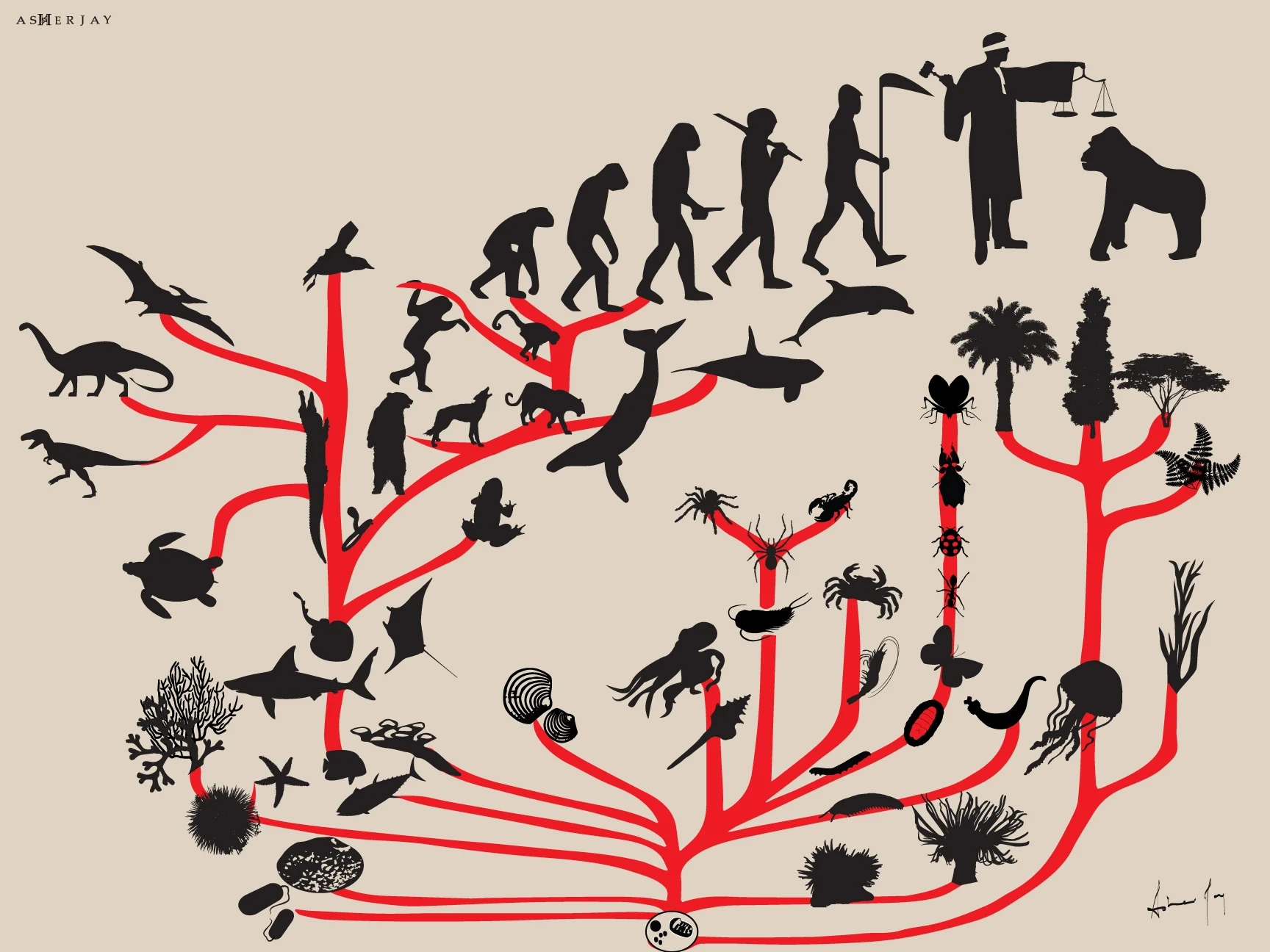 Knowing Where We Come From