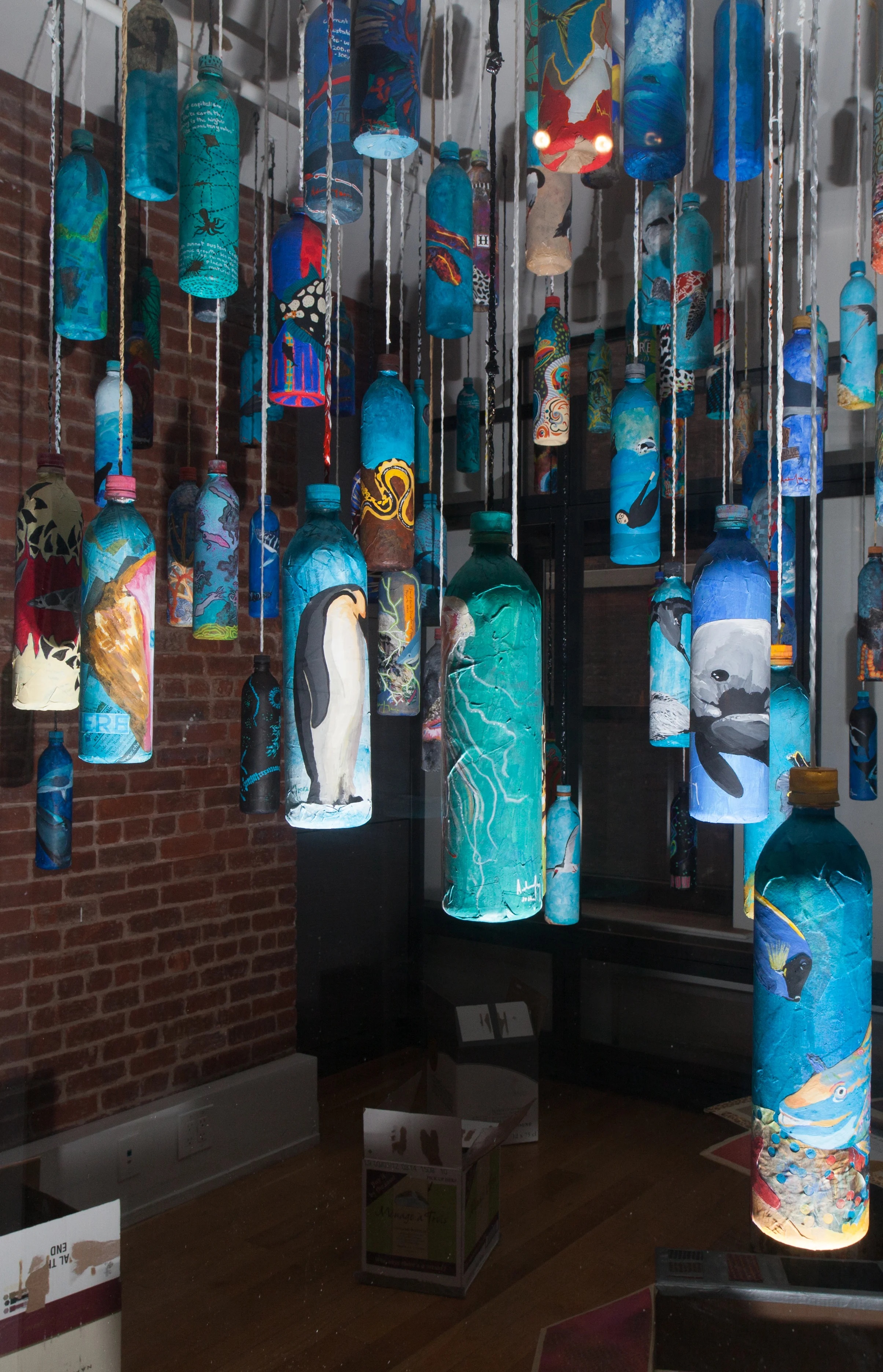 Message In A Bottle on Display