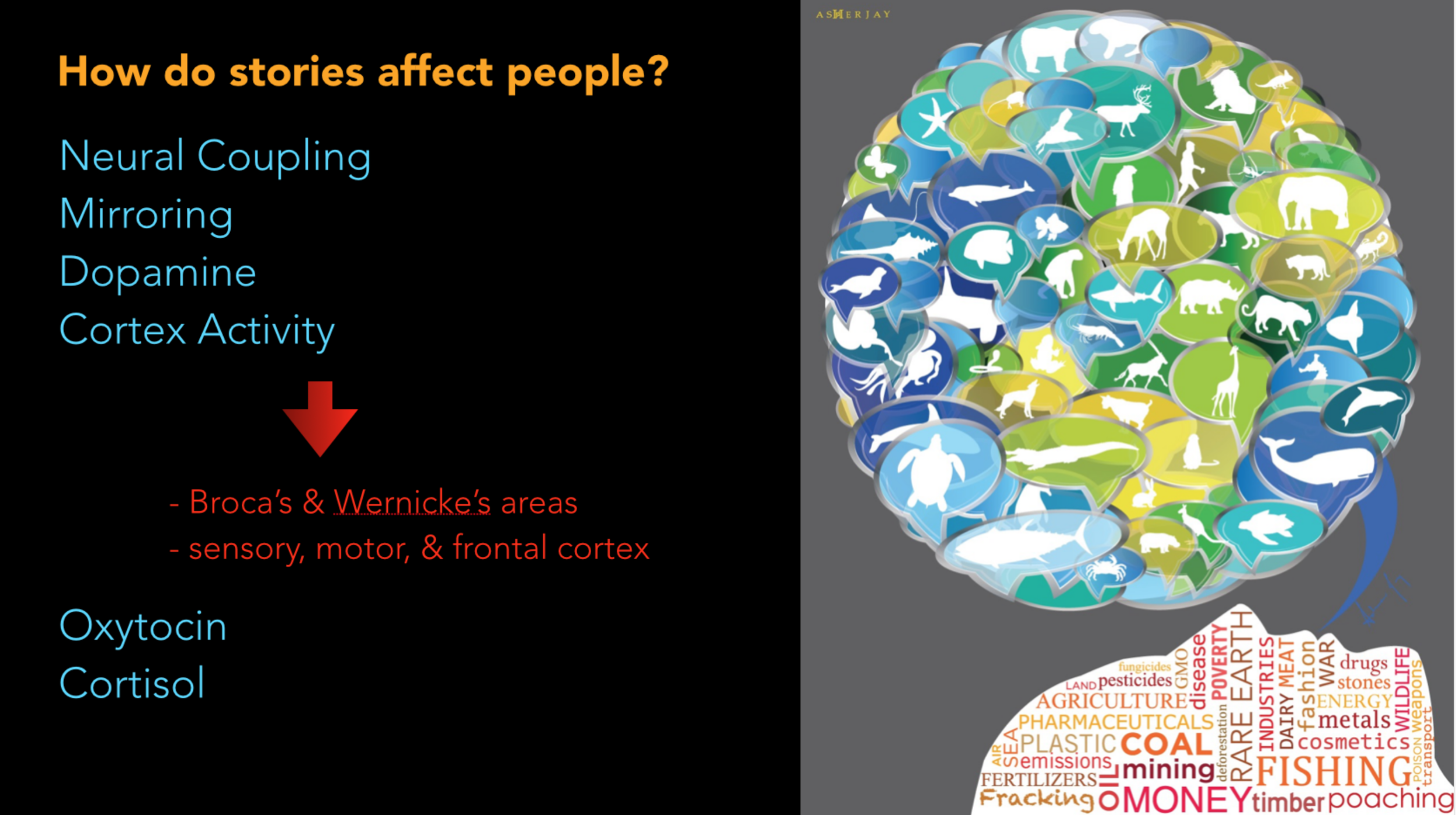 Impact of Effective Narratives
