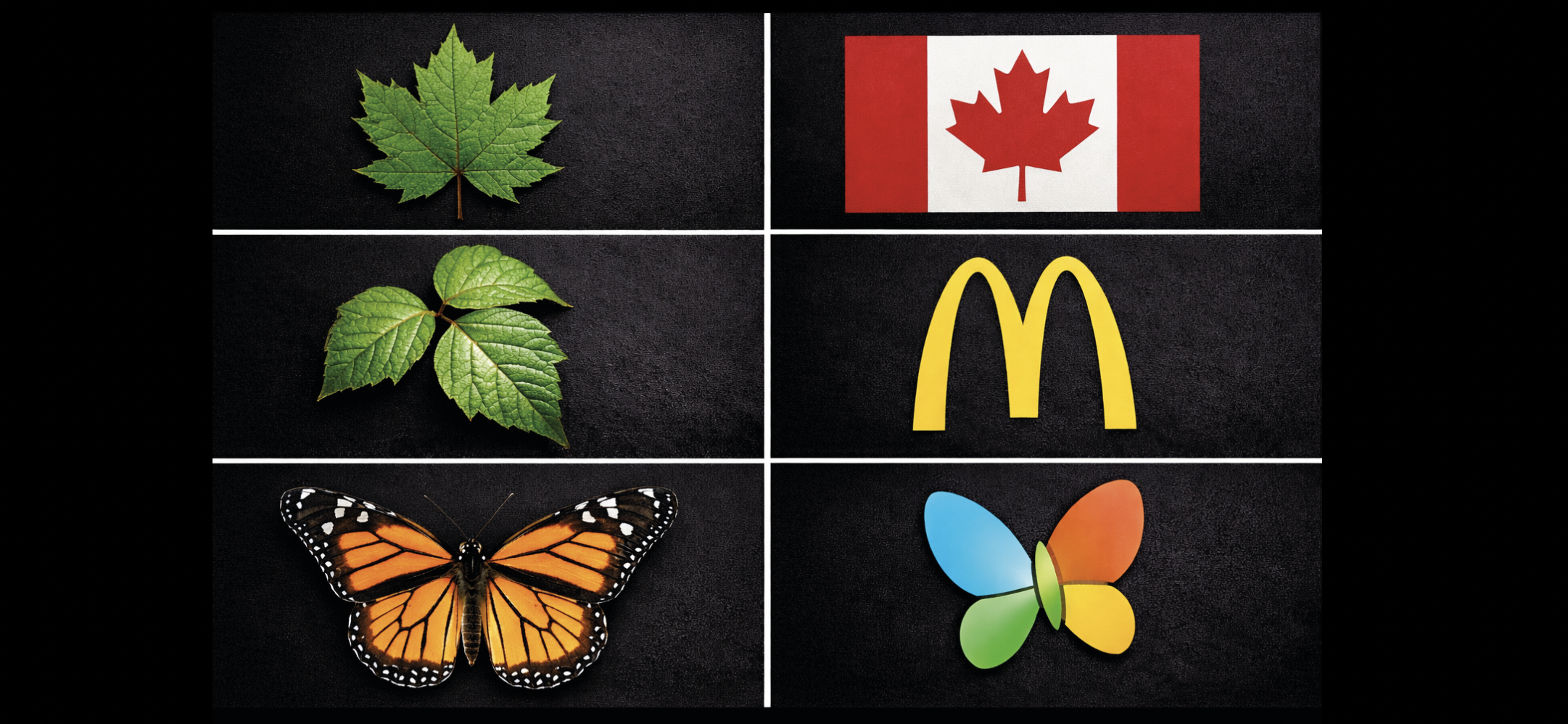 Logos to Leaves: One Is Designed To Sell The Other To Survive