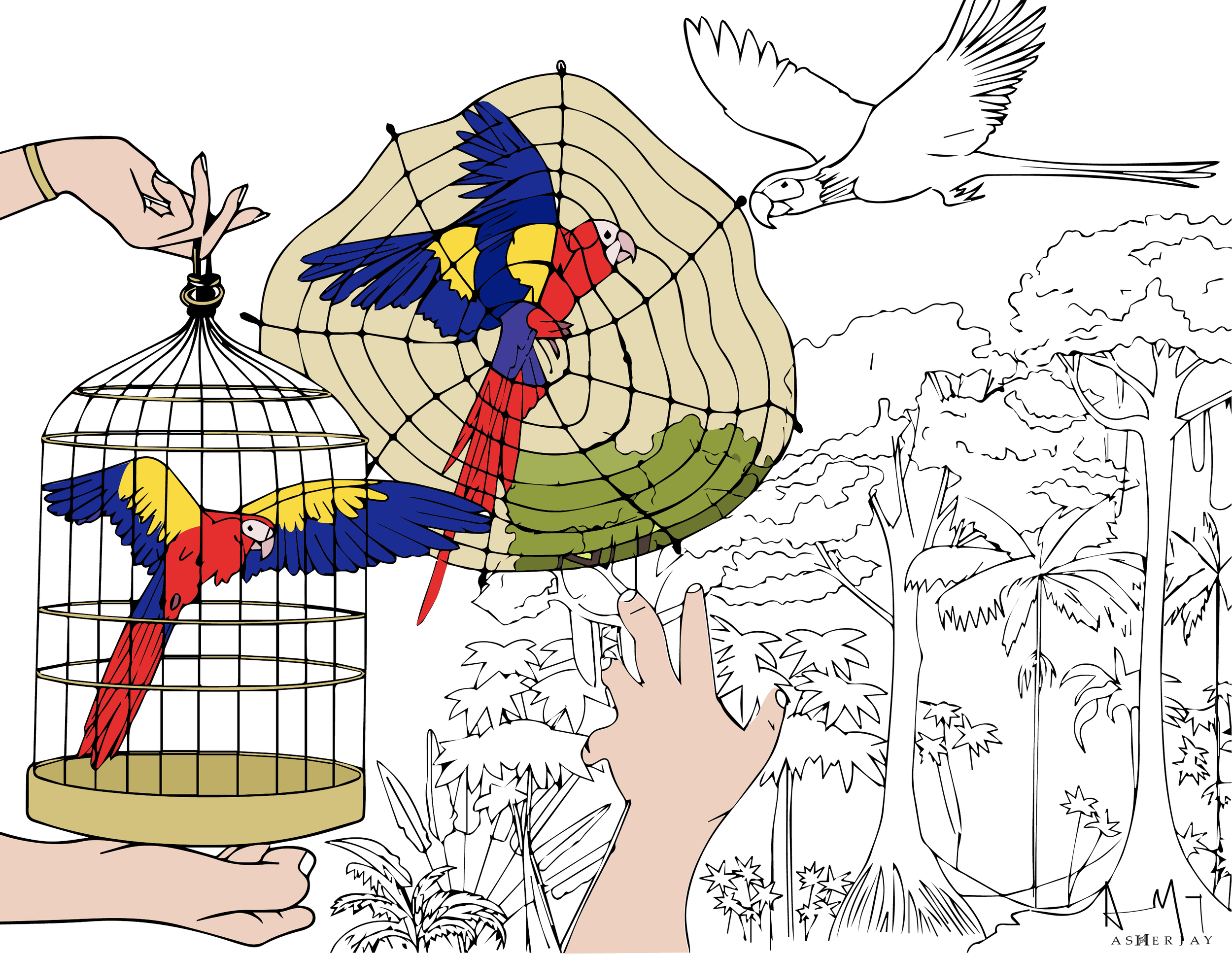 Macaws-Capture Control Cull Curate Cage - Asher Jay.png