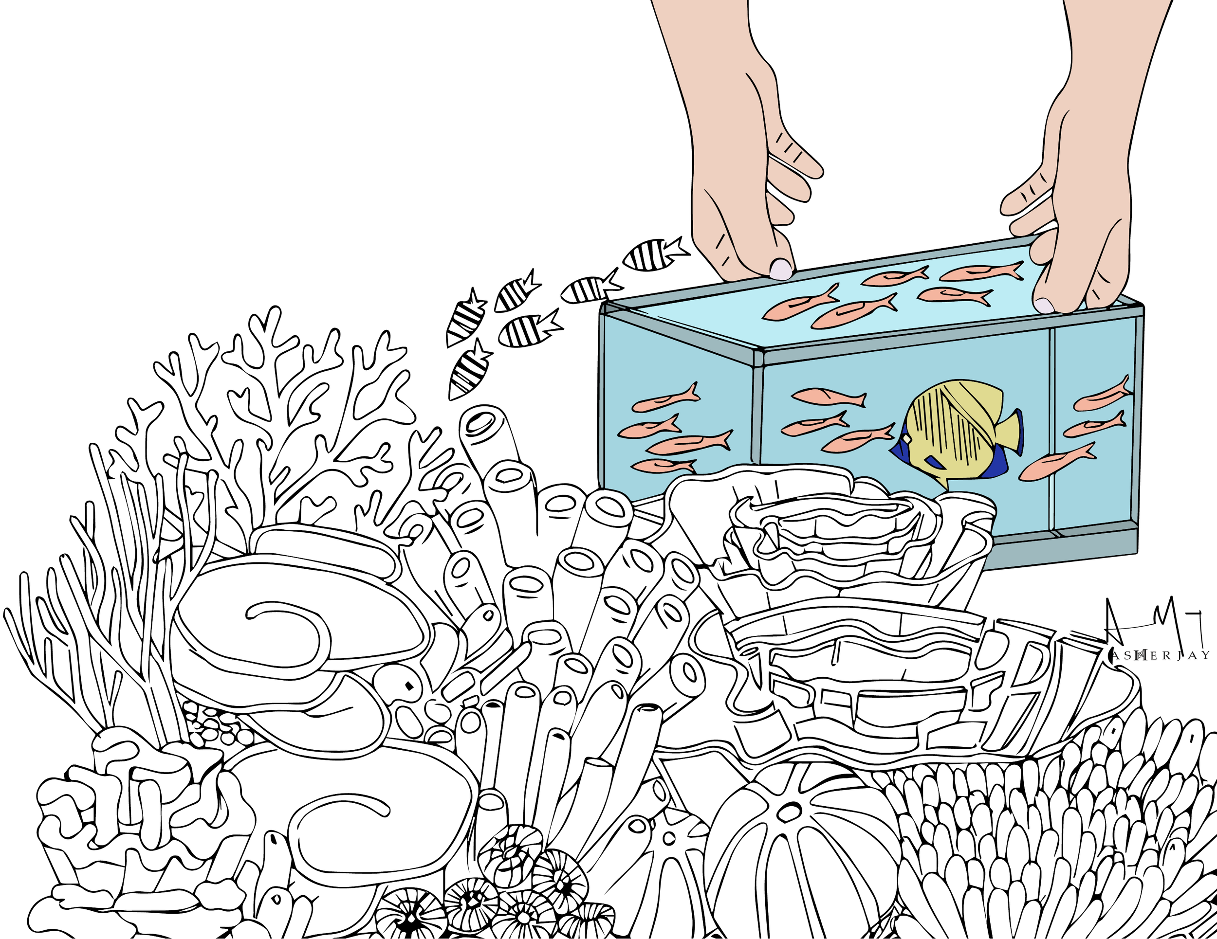 Aquarium-Capture-Cull-Control-Curate-Asher-Jay.png