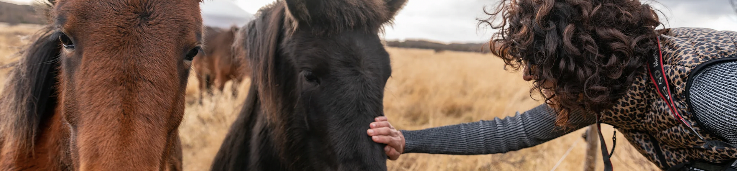 Screenshot 2026-02-08 at 9.28.00 PM.png