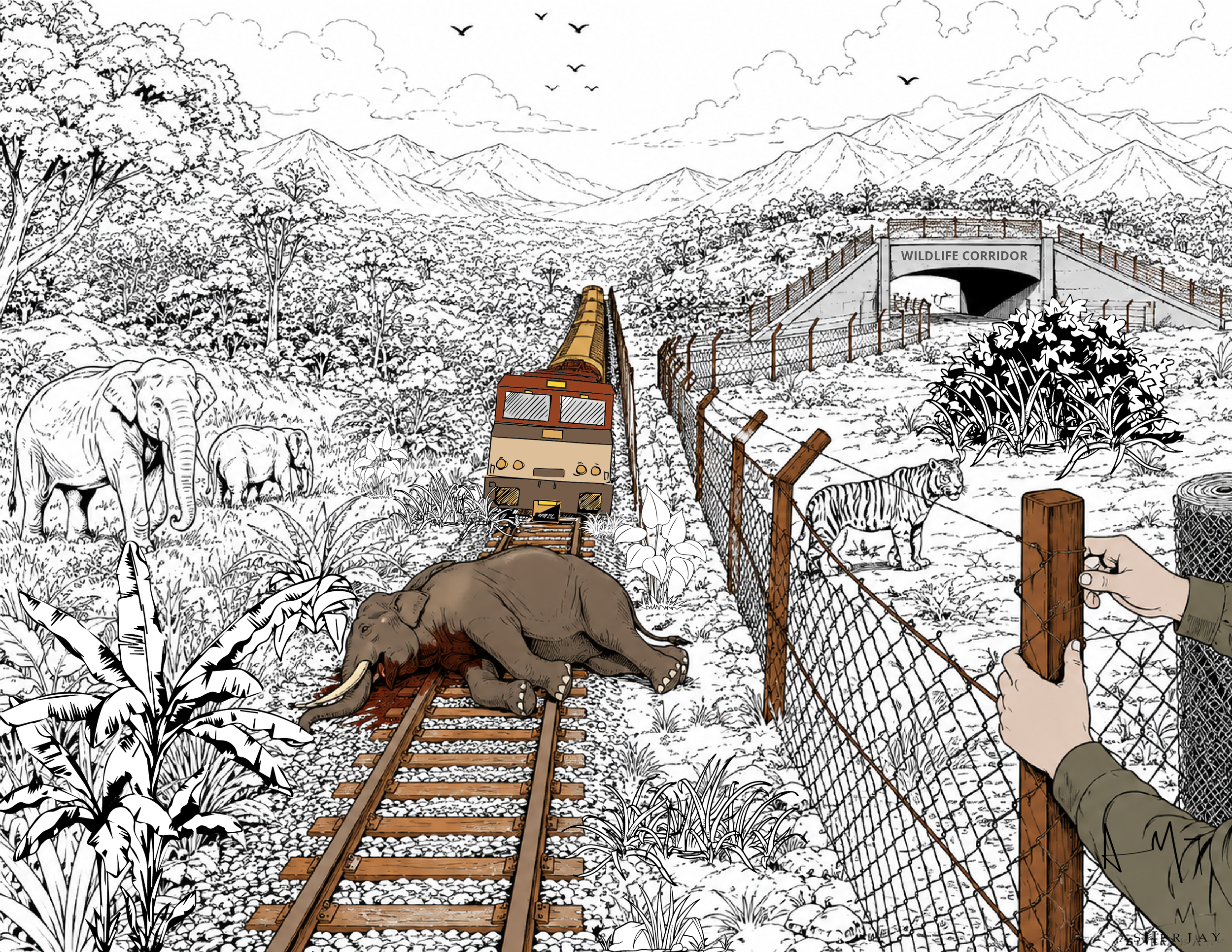 Wildlife Corridors-Asher Jay.png