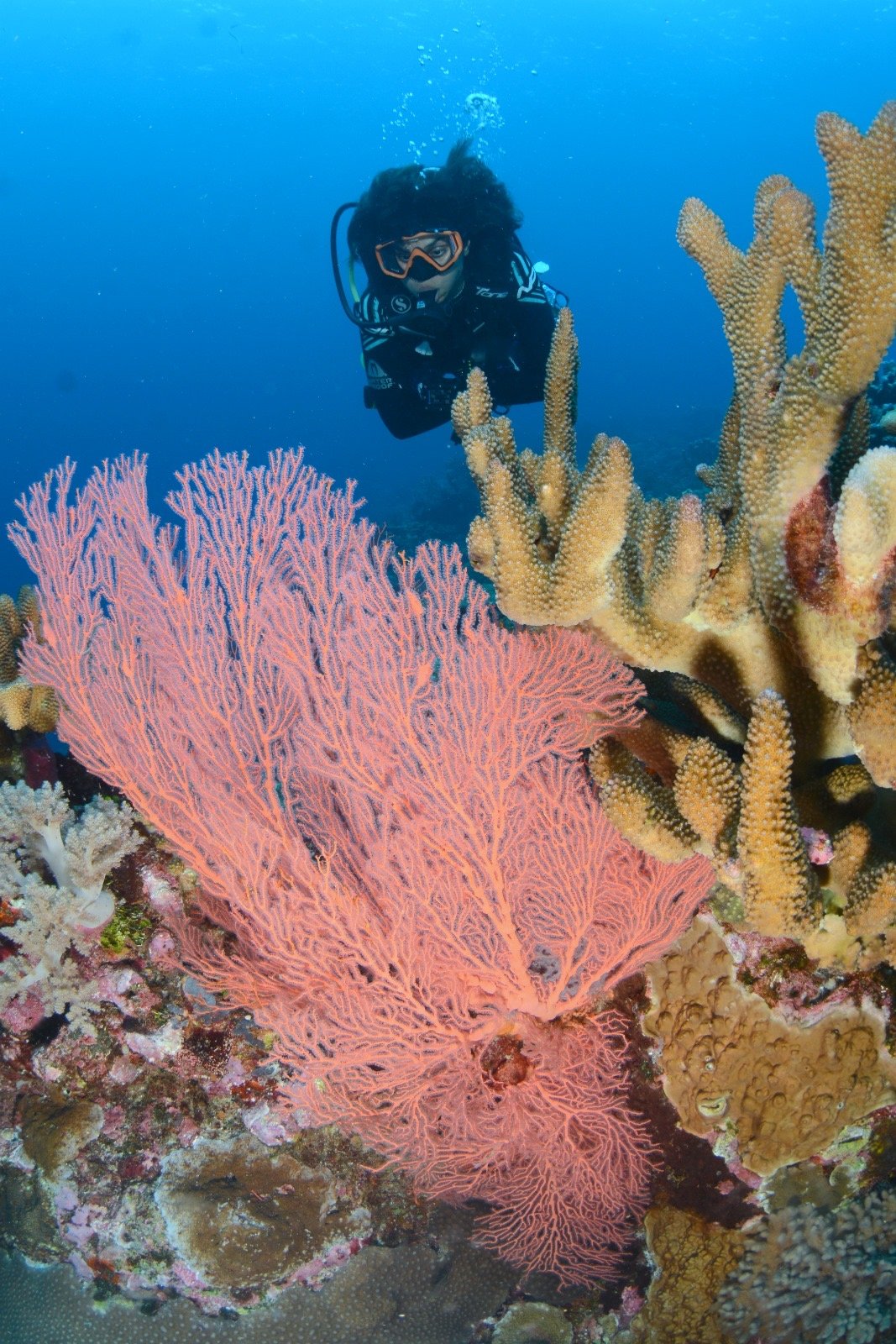 221d008c-350e-4ee4-b02e-b14808623058 2.JPG