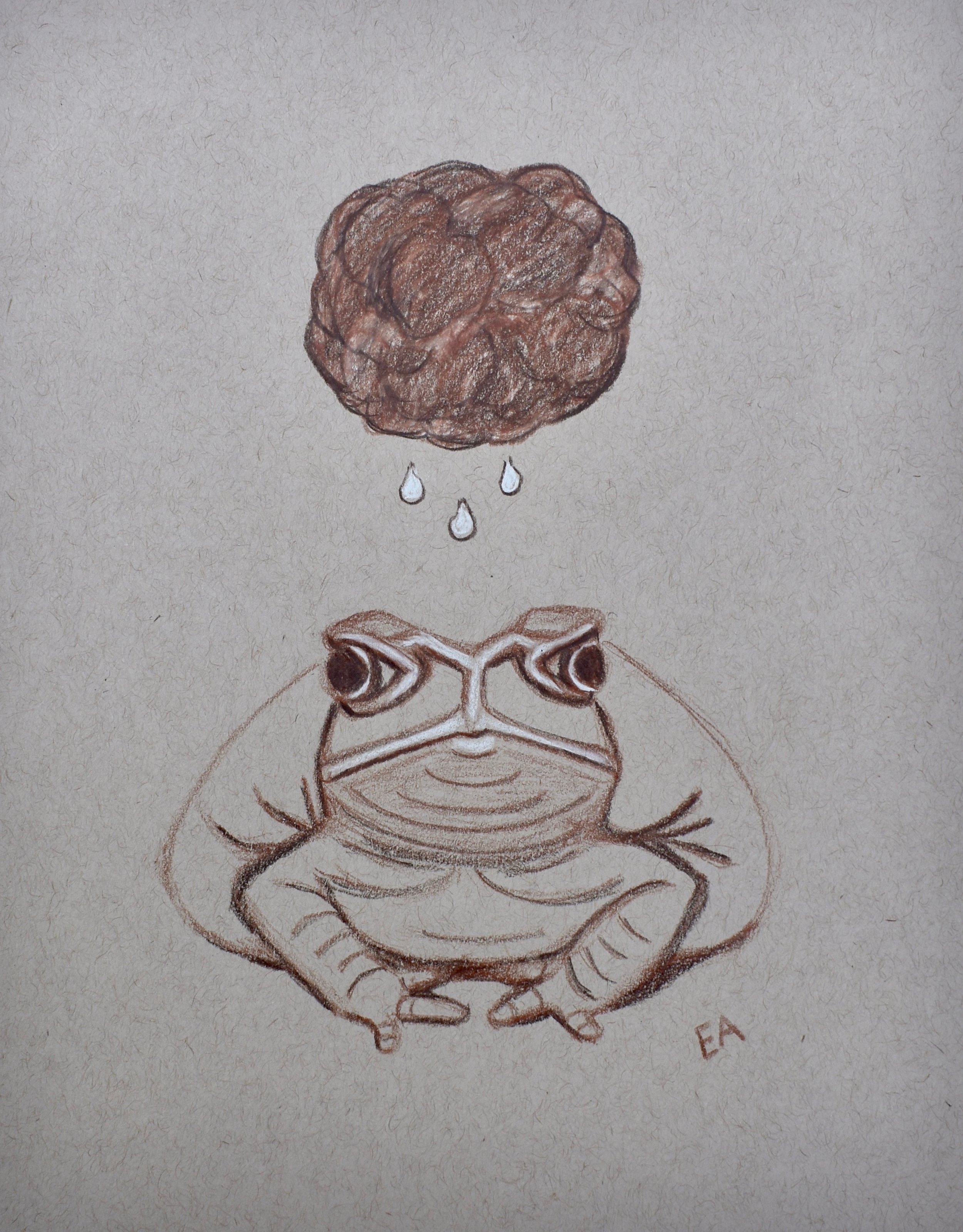 “Grumpy Toad” 8x10 Prismacolor Pencil on toned paper.