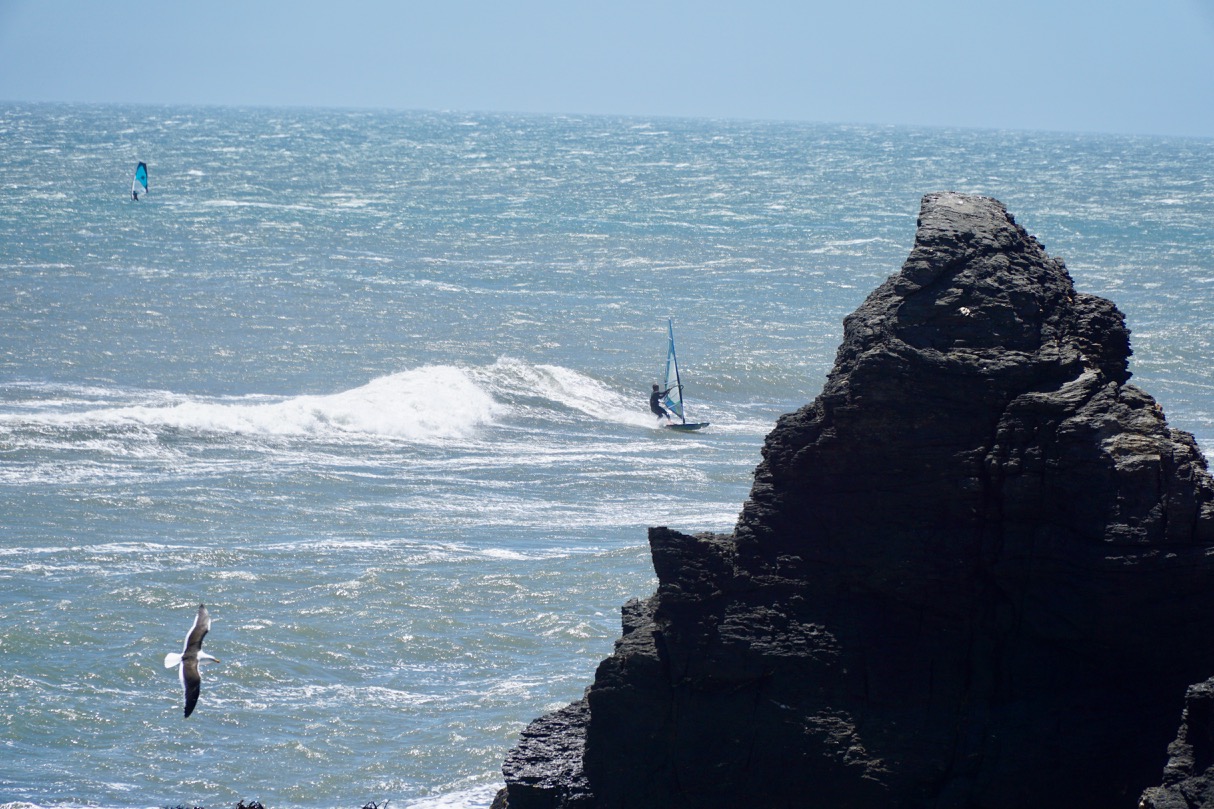 DSC03716.jpg