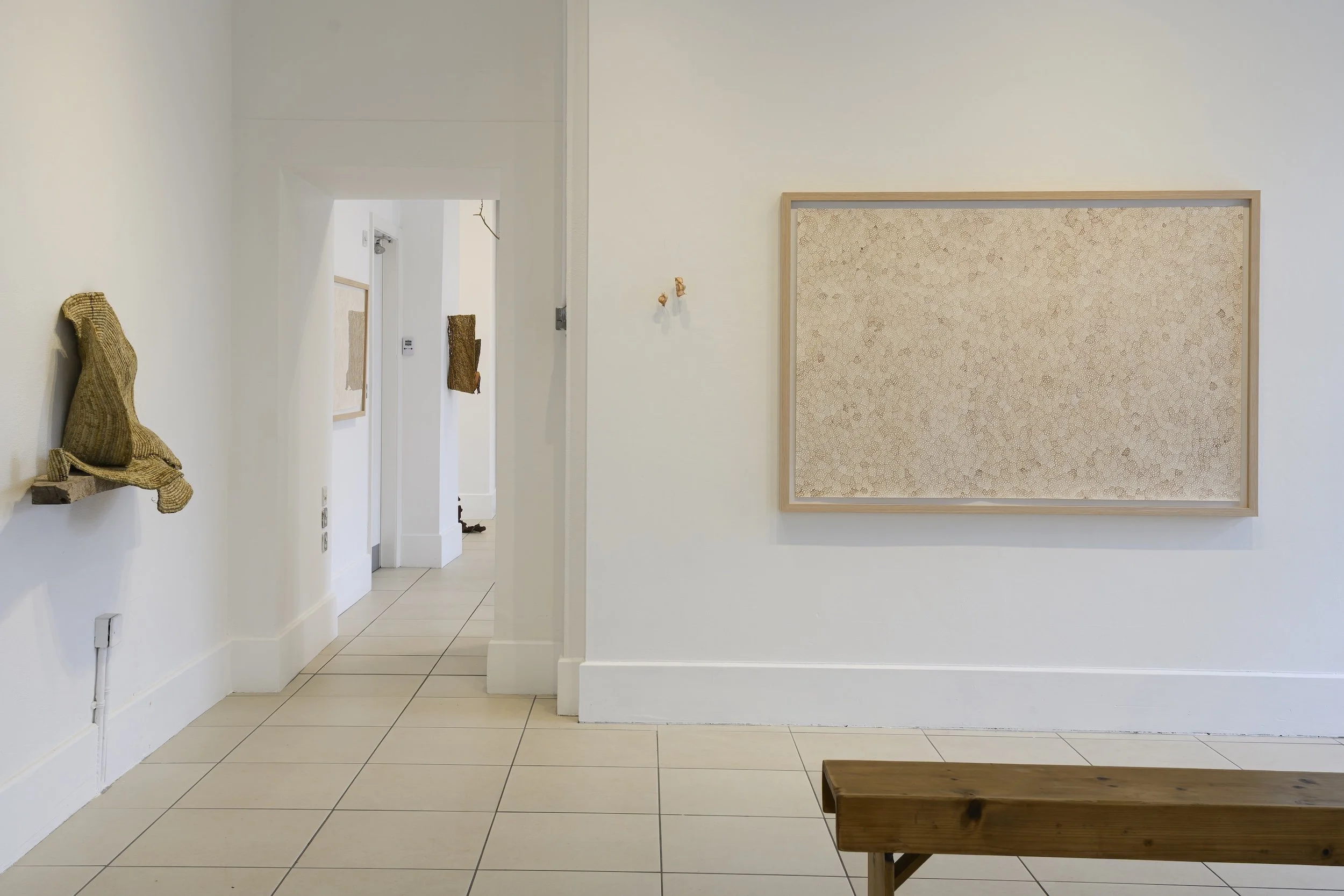 Rites of Homing (installation view)