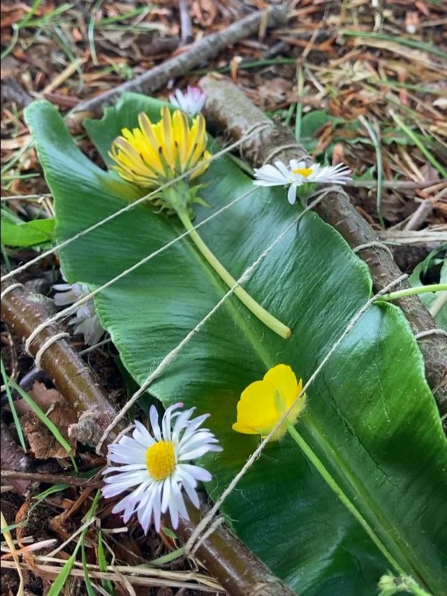Forest Bathing & Eco-Art for Young People