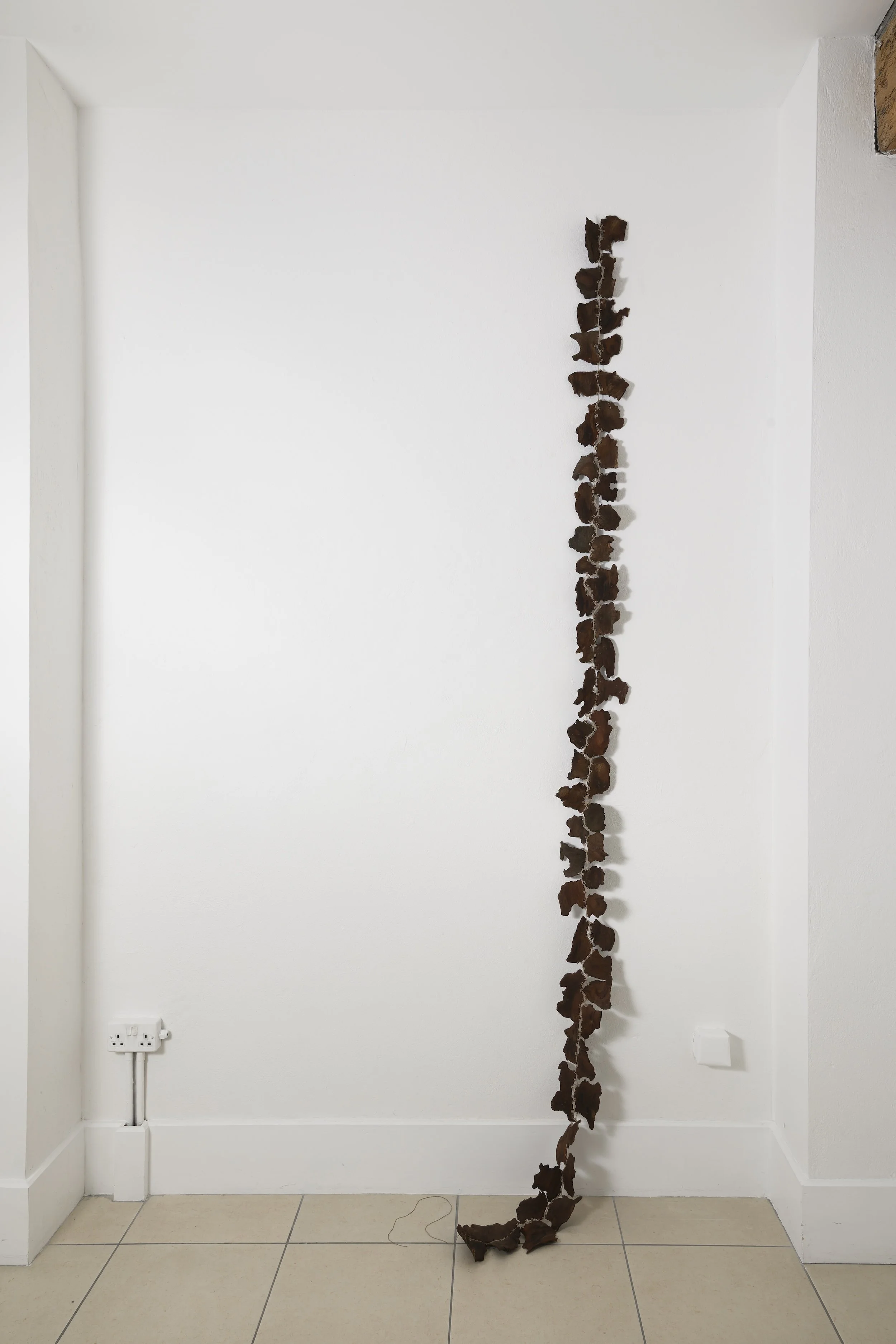 Tracks, 2026, spruce bark & waxed linen thread, 343 x 16 x 23cm