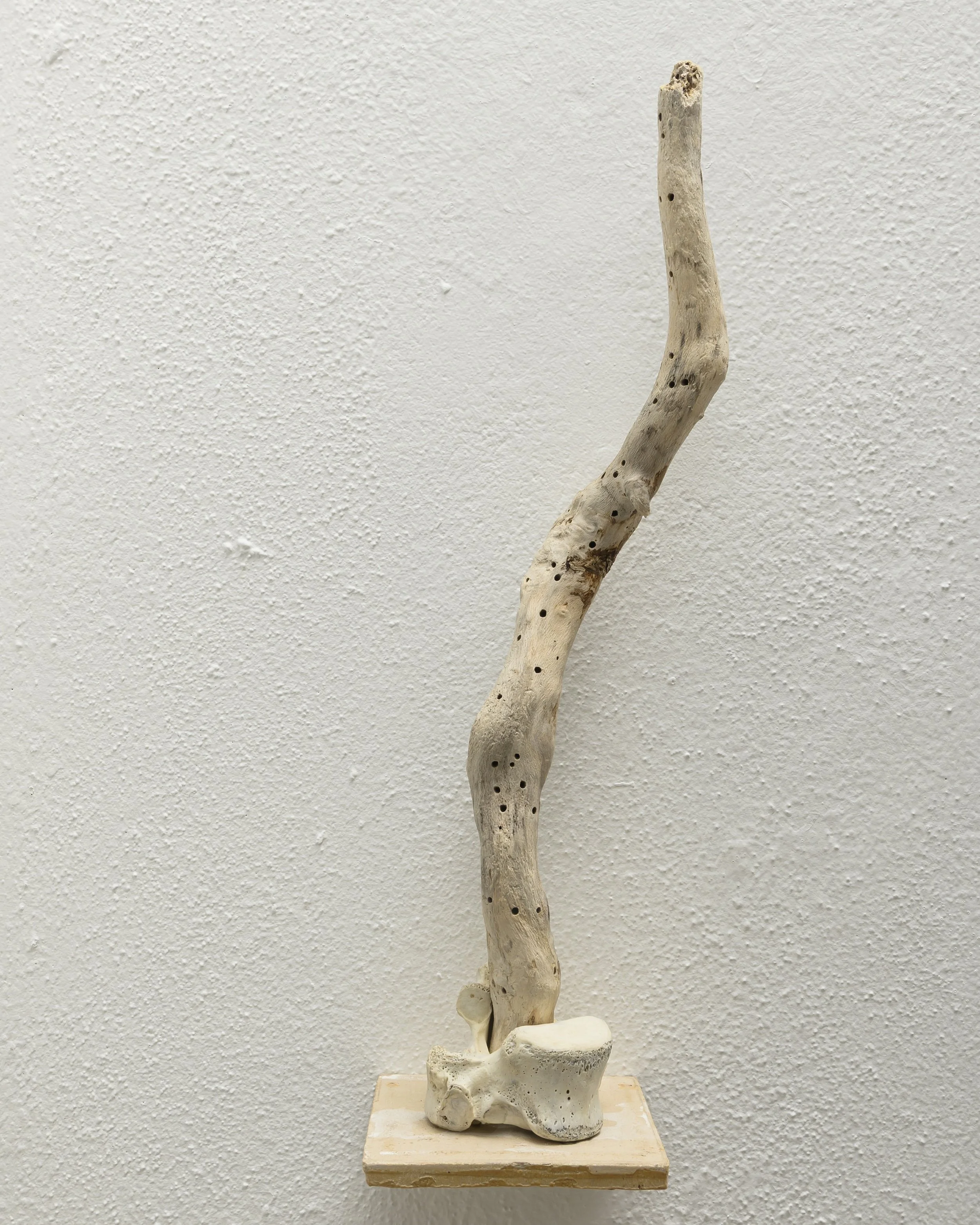 Spinal Tap, 2021, wood, bone & tile, 38 x 11 x 10cm