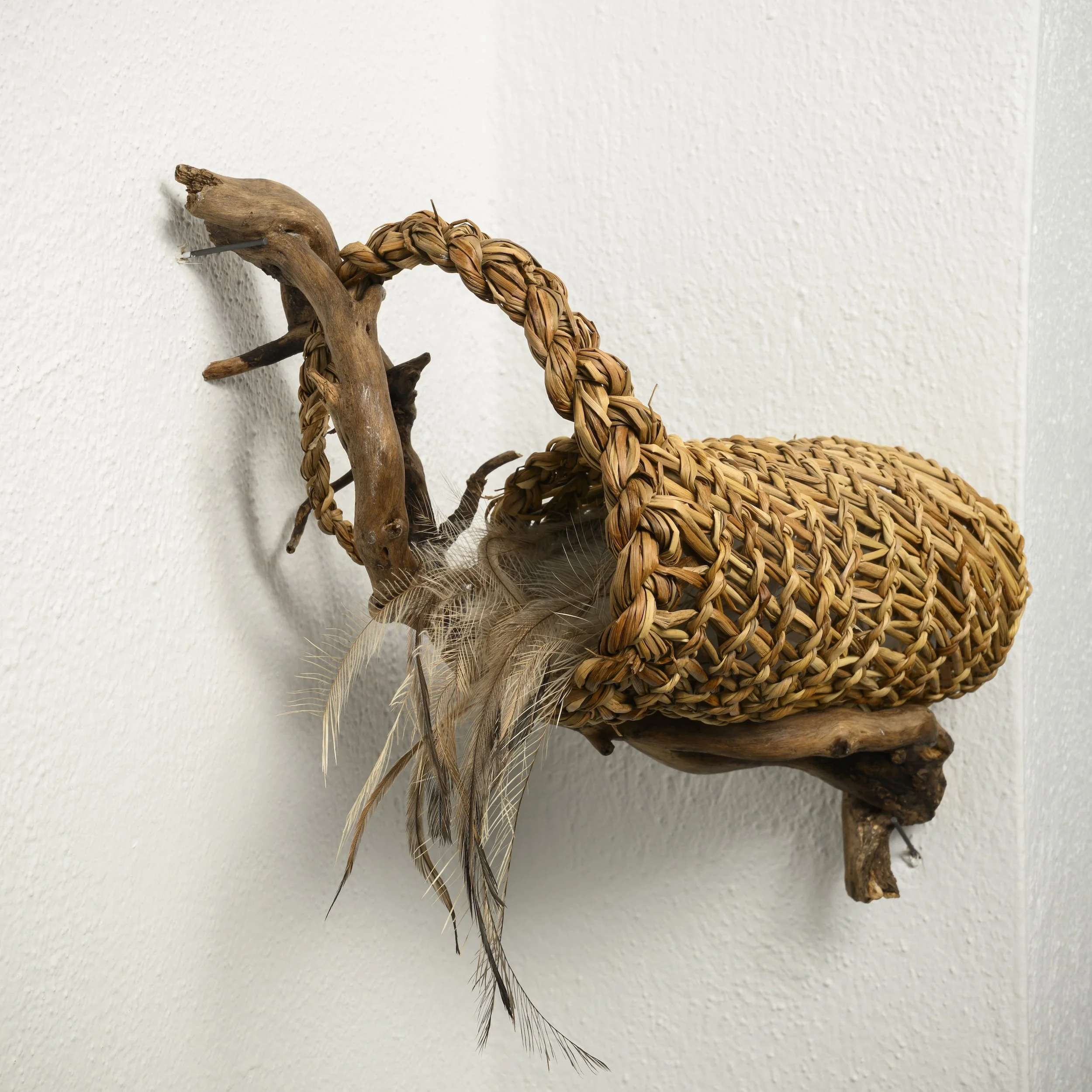 Nestle, 2026, ivy wood, soft rush & emu feathers, 25 x 25 x 25cm