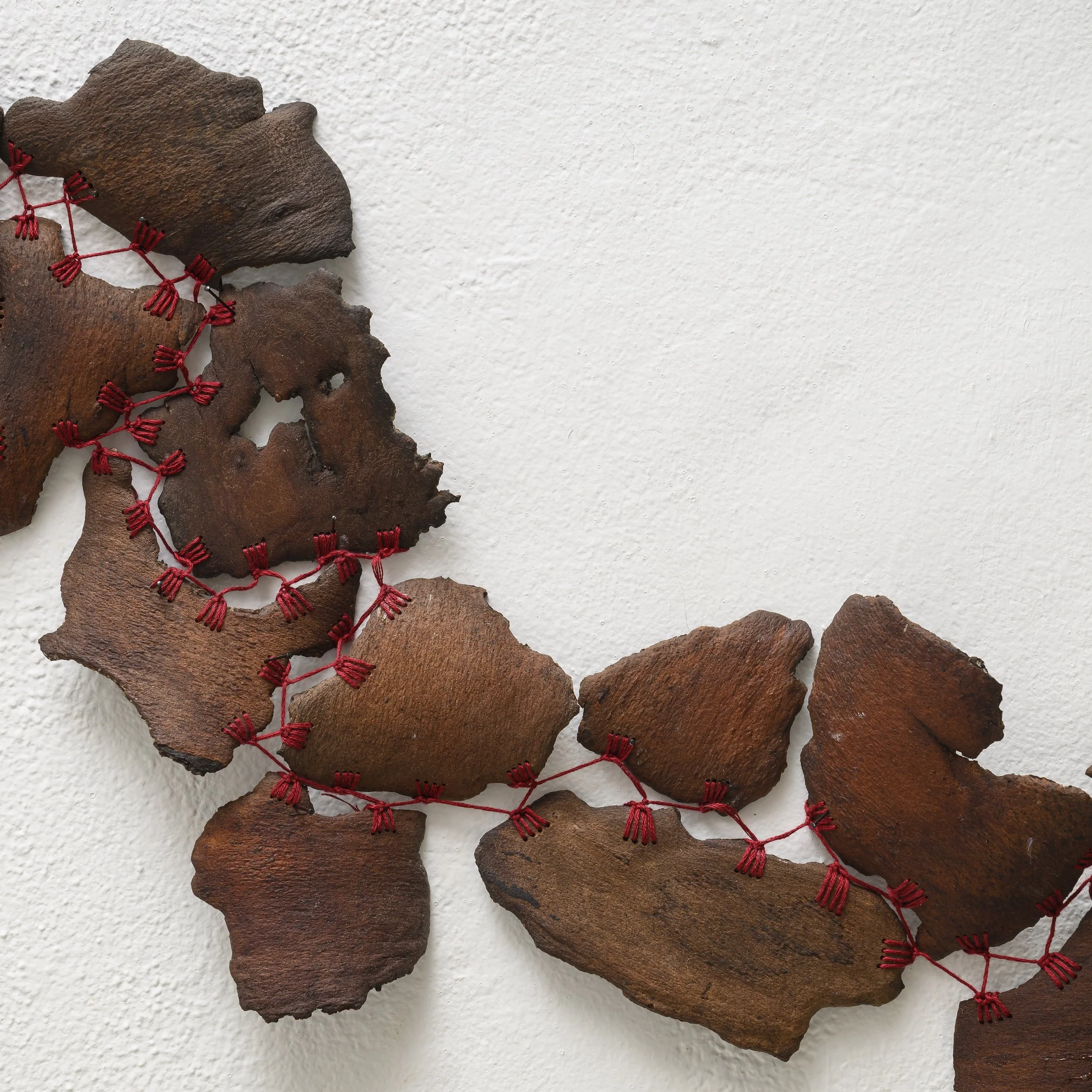 Shingleback Creek, 2026, Spruce bark, walnut oil & cotton thread, 128 x 53cm