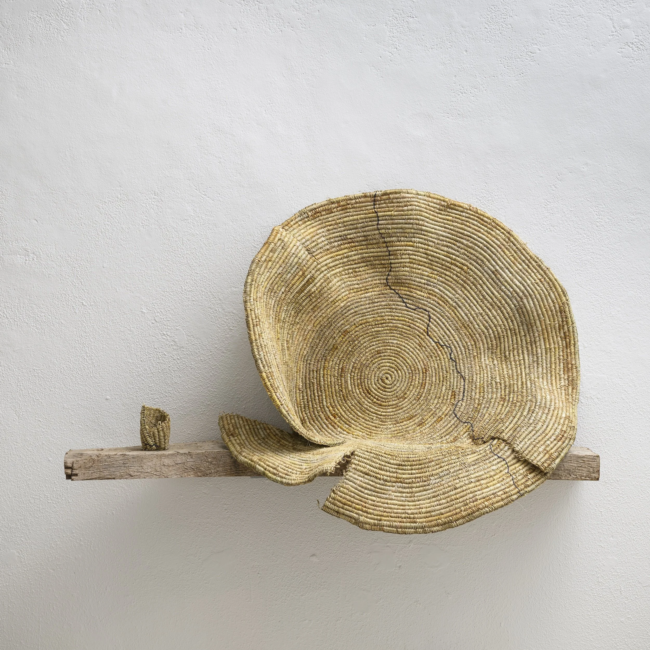 Water Licence, 2026, Coiled NZ Flax, cotton thread & reclaimed oak, 98 x 50 x 32cm