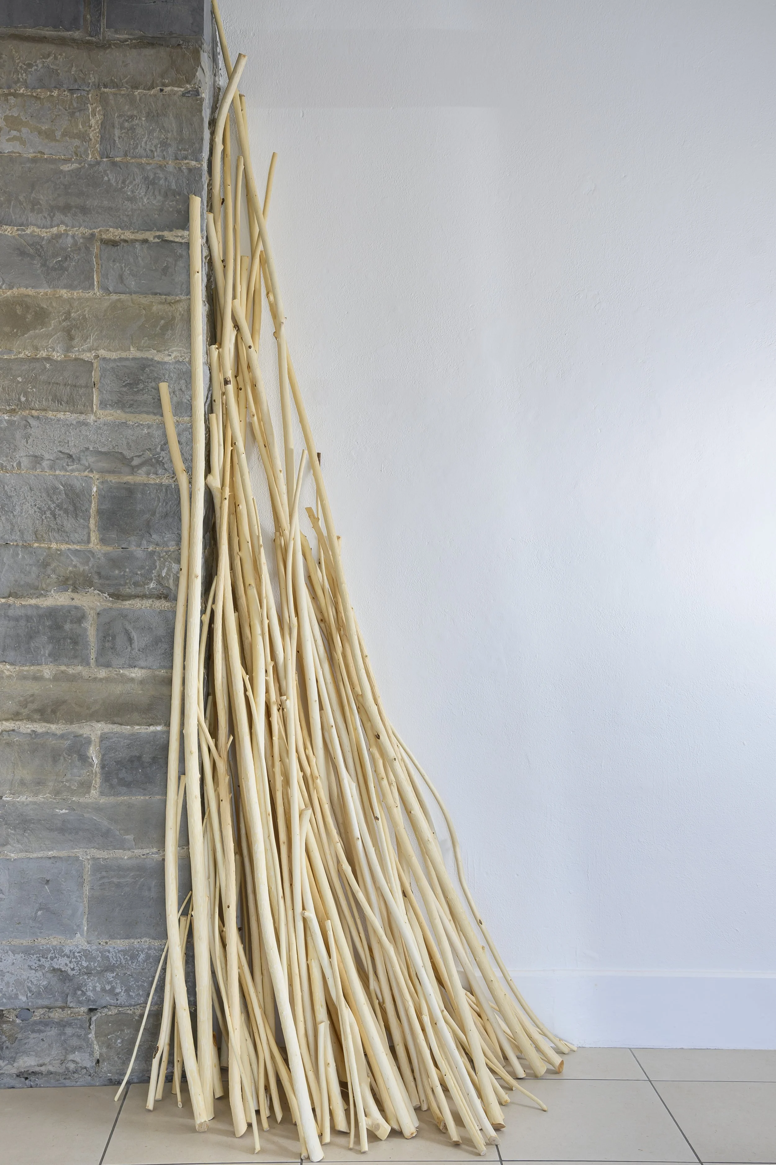 Skinned, 2025, peeled willow, 285 x 115 x 68am