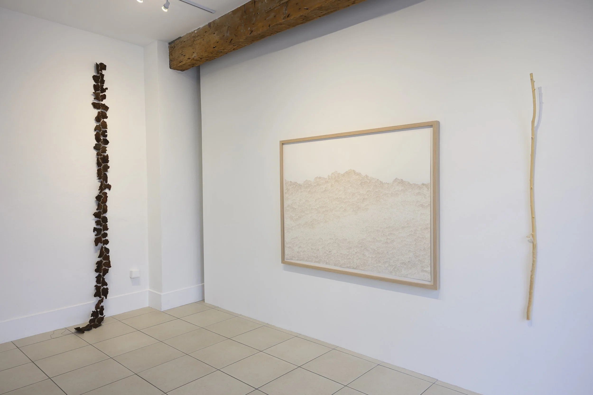 Tracks, 2026, spruce bark & waxed linen thread, 343 x 16 x 23cm; Current, 2026, red wine on fabriano 300gsm, 161cm x 124cm; Shed, 2026, peeled willow & snakeskin, 152 x 10 x 6cm