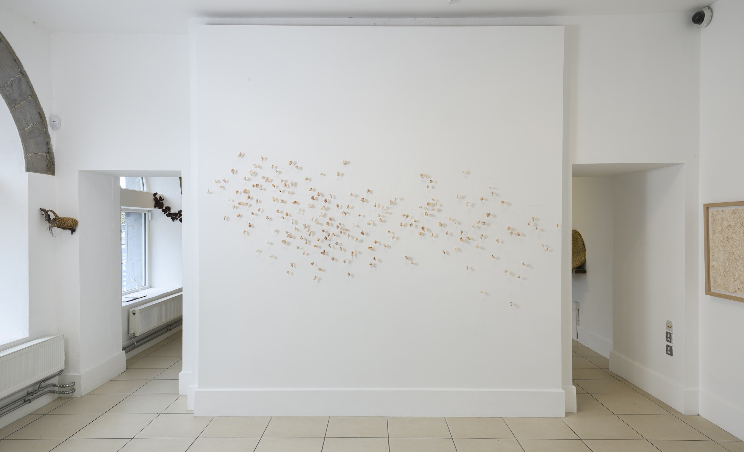 Lull, 2026, garlic skins stitched with hair strands & needles, 290 x 120 x 5cm