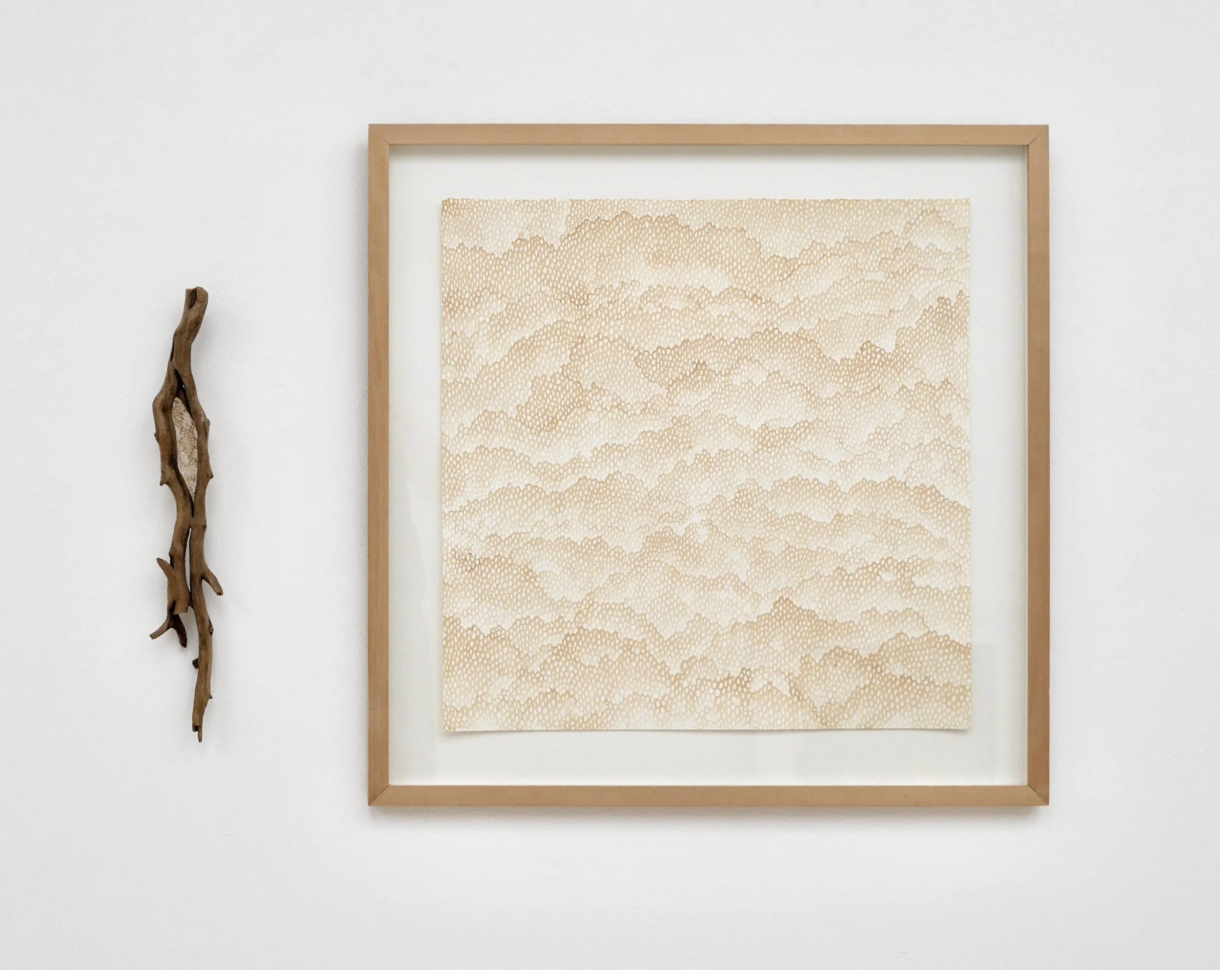 Terra, 2026, ivy wood & snakeskin framed red wine on paper drawing, 70 x 94cm. Photography by the artist.