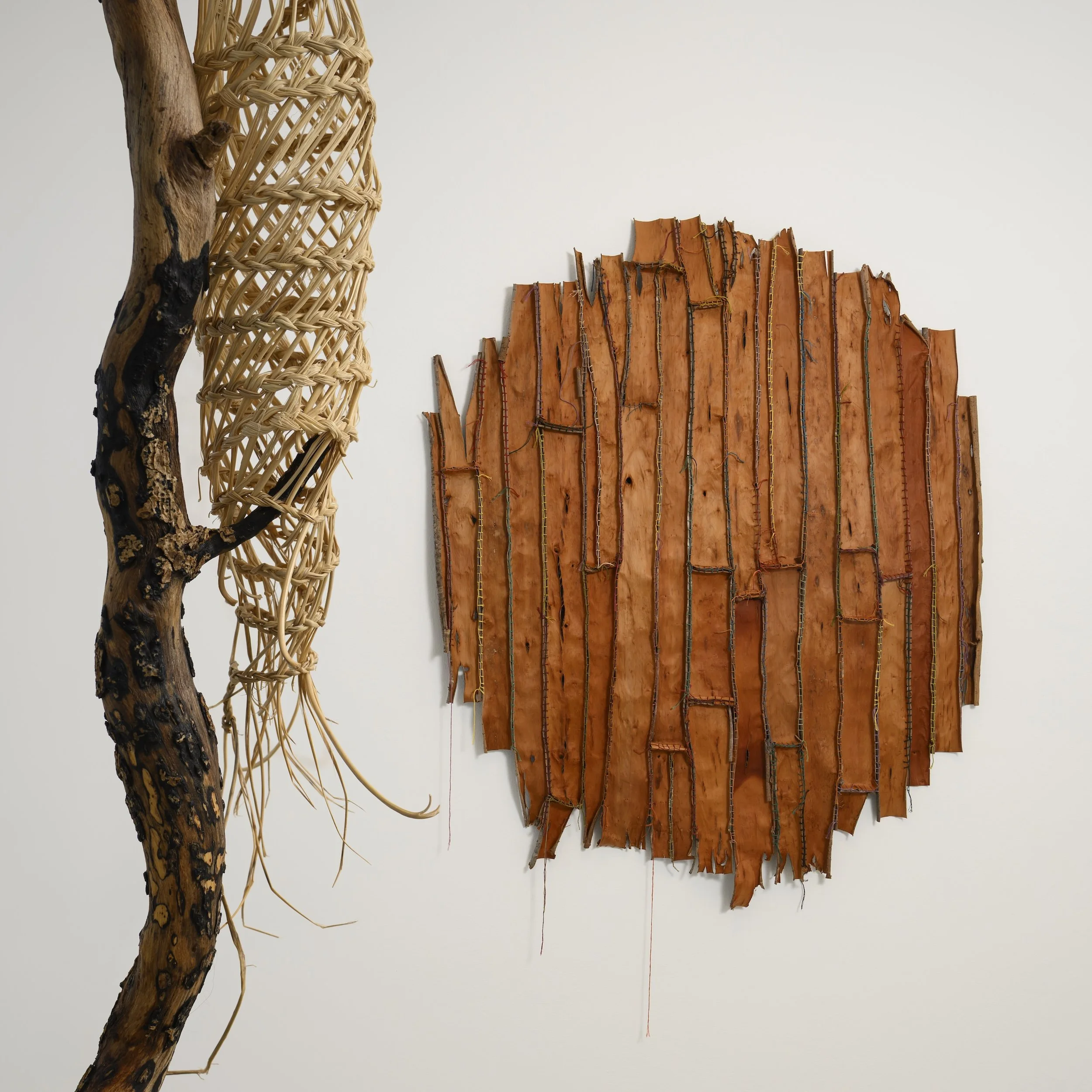 Let's Dance (detail) 2025, ivy wood & esparto grass, 117cm x 60cm; Find Some Things To Love, 2026, willow bark & cotton thread, 120 x 100cm