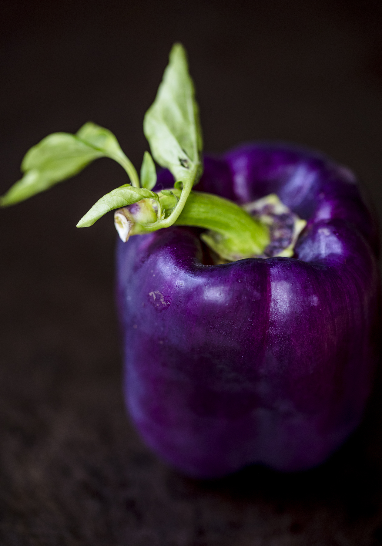 purple-pepper_0010.jpg