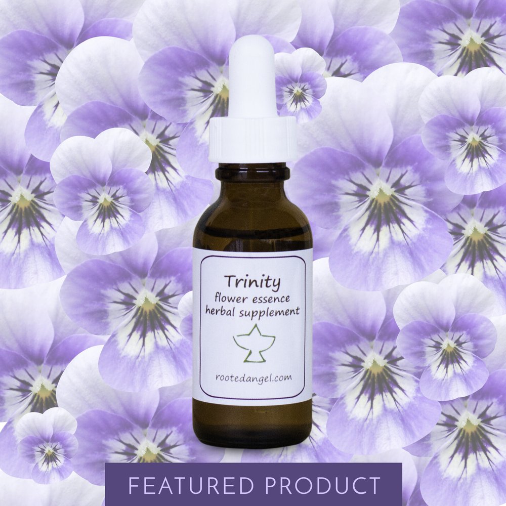 Violet Flower Essence Recipe Best Flower Site