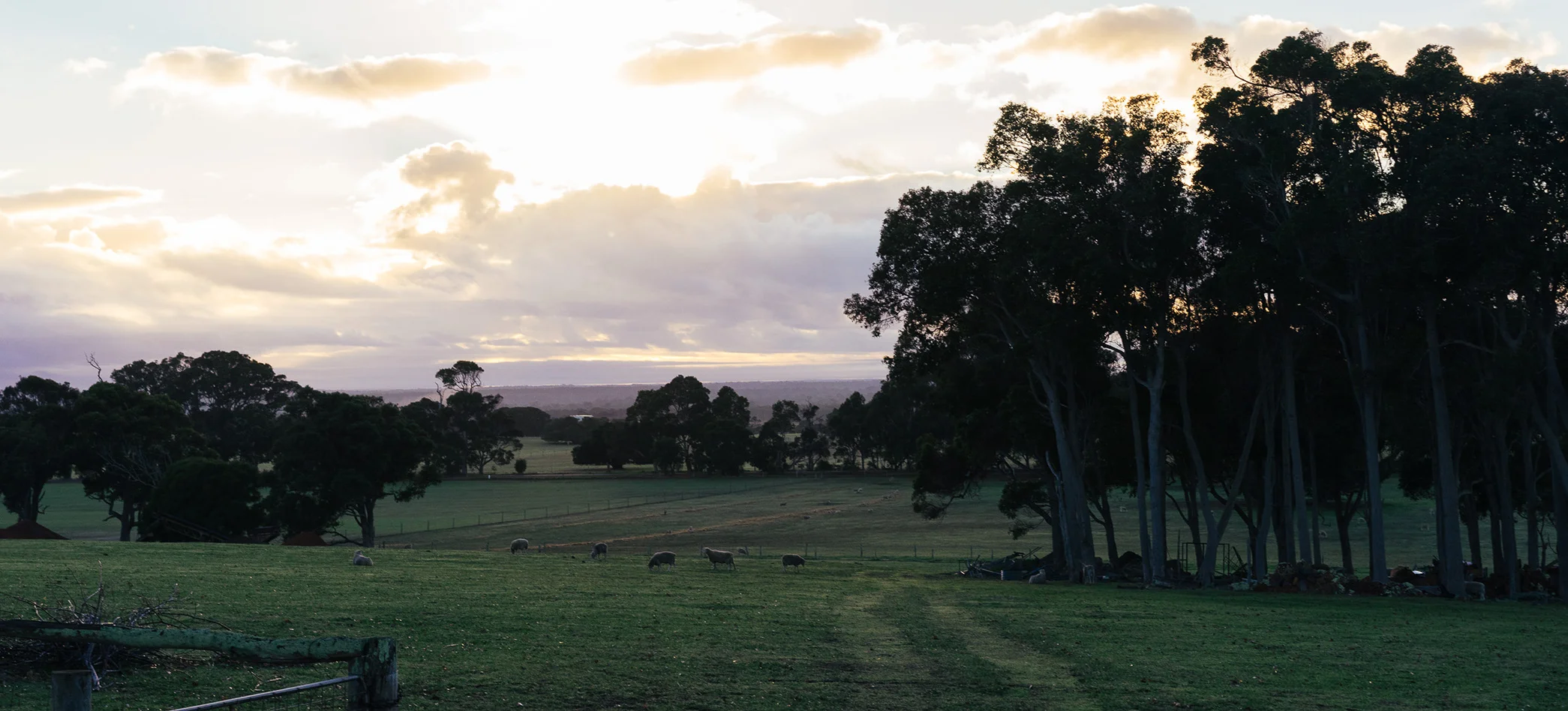 OurProperty4.jpg