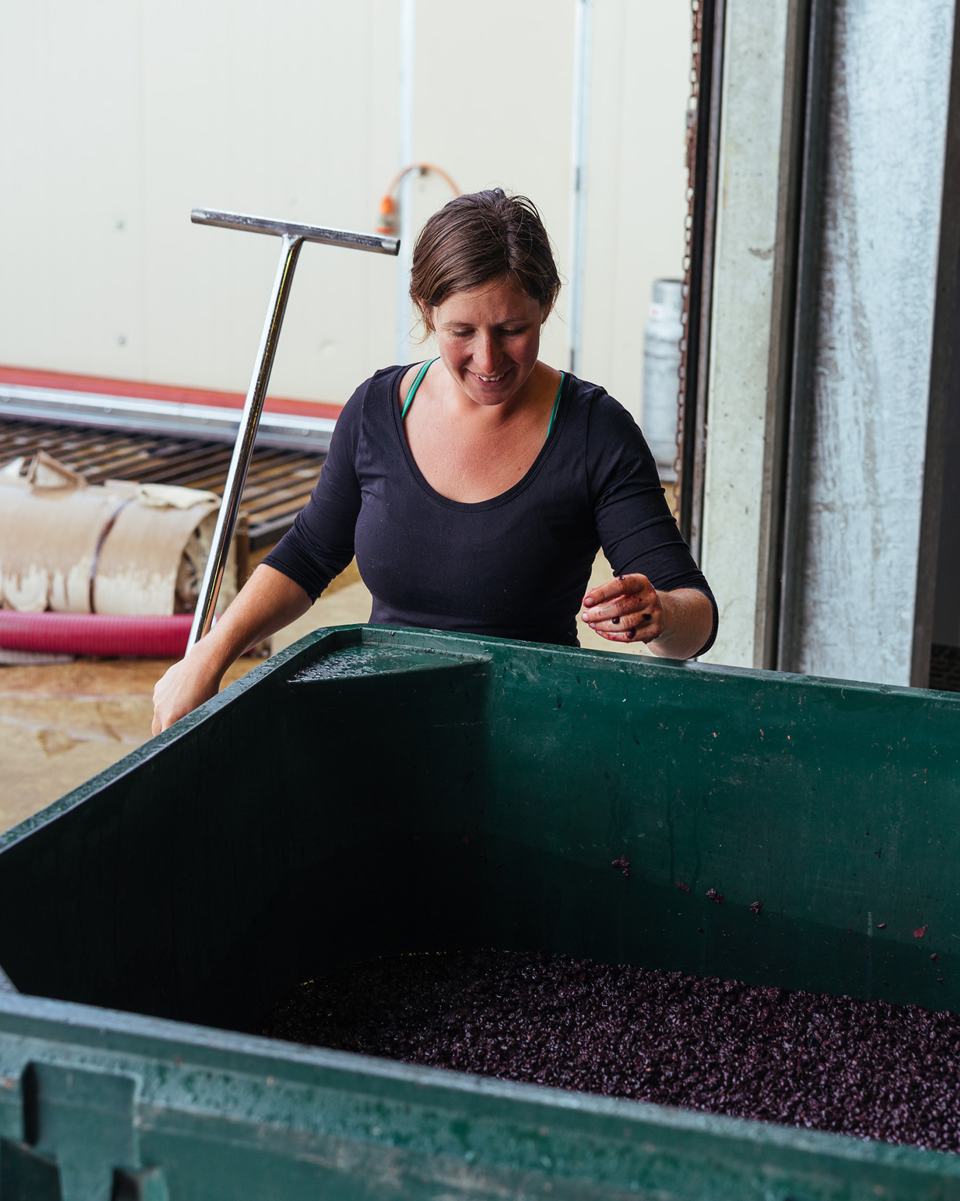 Basket Press Shiraz Sasha Foley