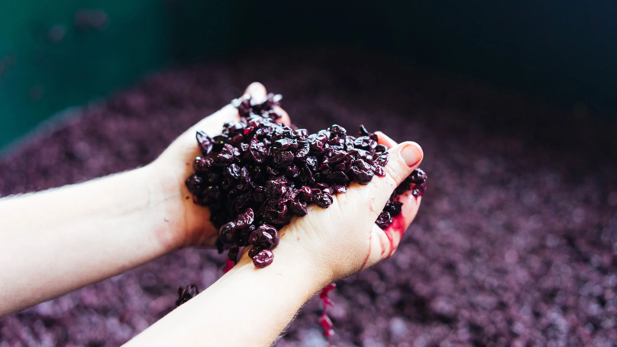 Hand crafted Small batch Shiraz