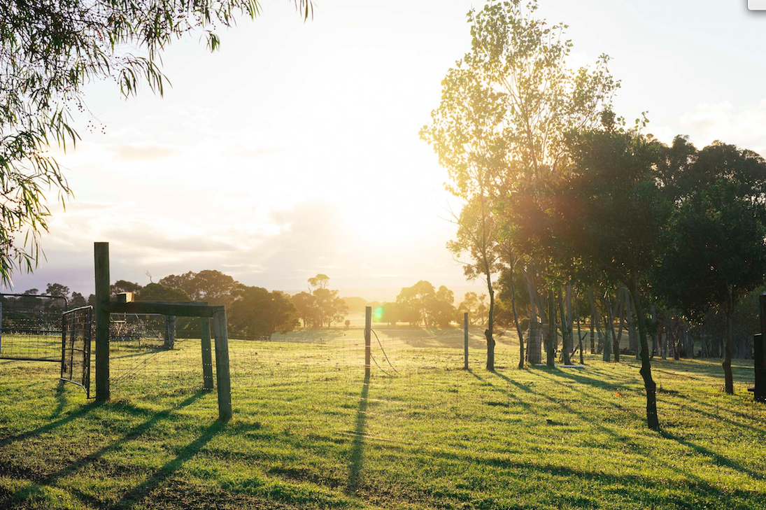 Screen Shot 2016-09-27 at 12.45.35 pm.png