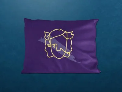 ENFJ Pillowcase.jpeg
