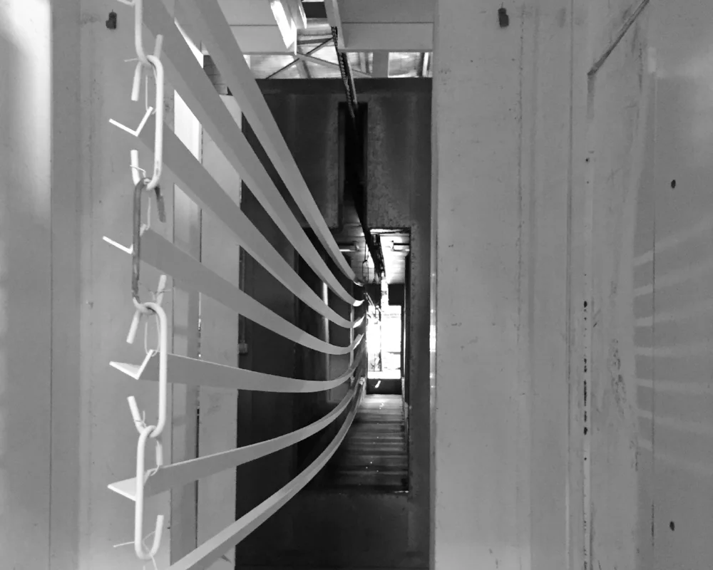 IMG_5538_BW.jpg