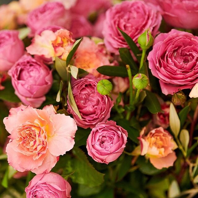Une brass&eacute;e de roses, pour vous souhaiter une belle journ&eacute;e
