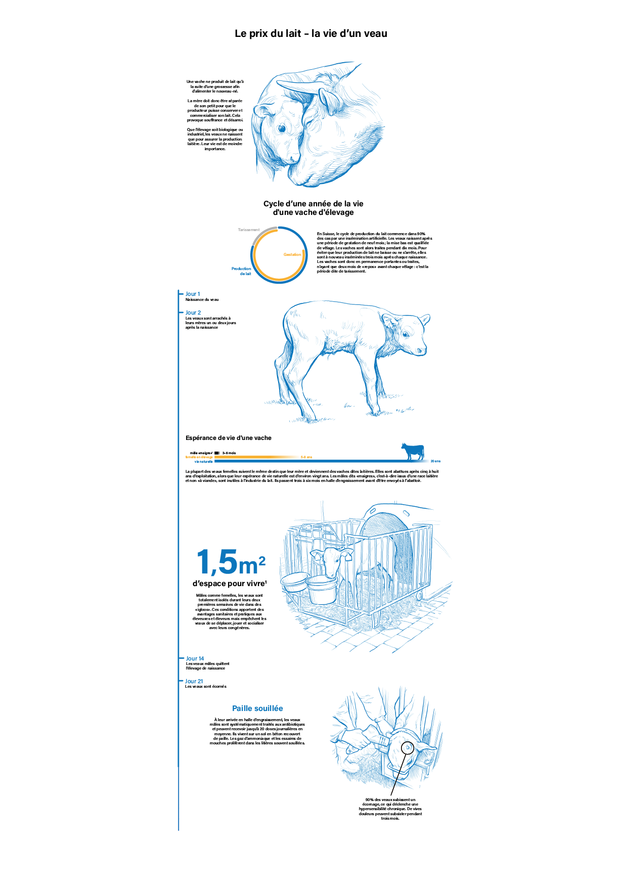 portfolio-illustrations-paulinemartinet202615.png