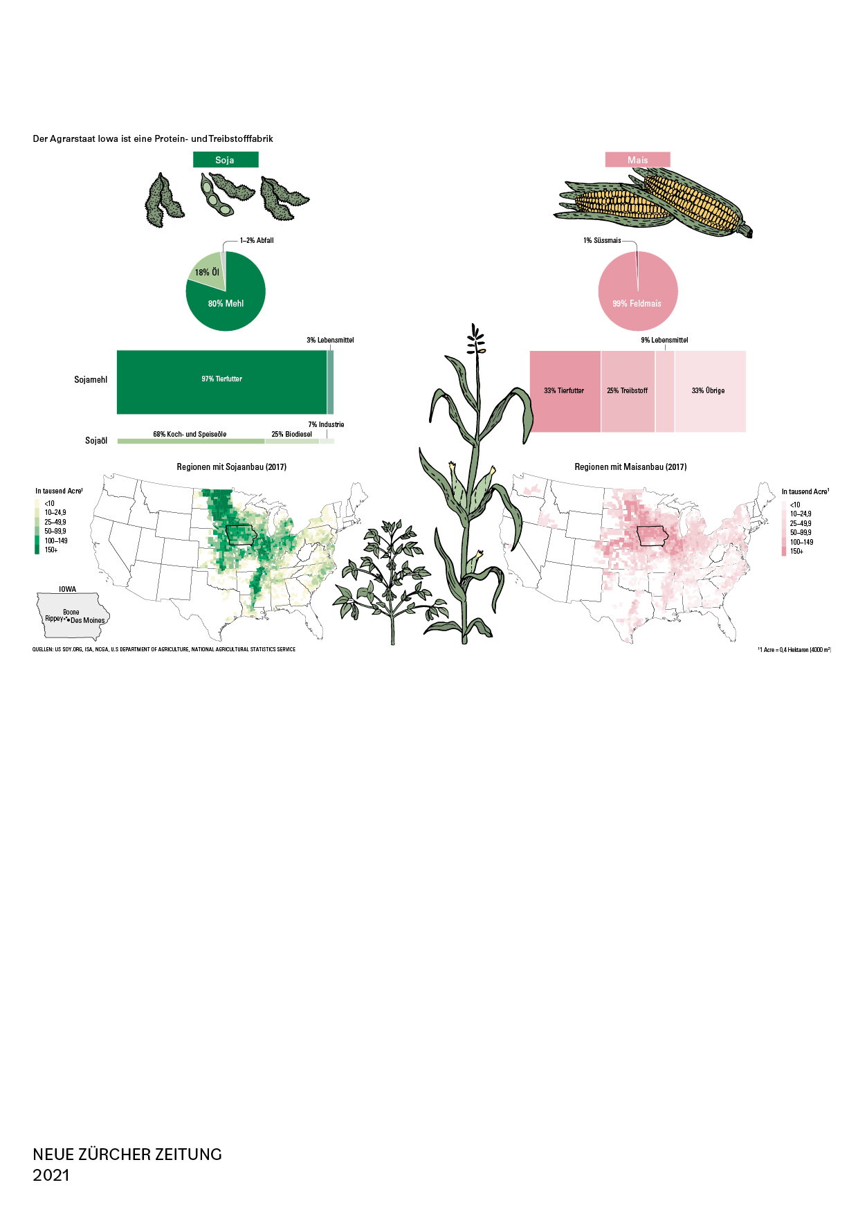 portfolio-illustrations-paulinemartinet202621.png