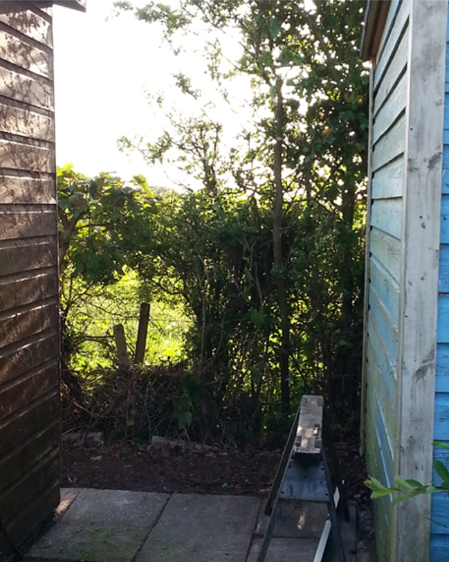 Before