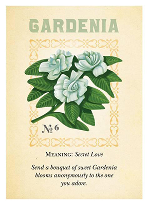 Photo Courtesy: www.penhaligons.com/us/blog/gardenias/