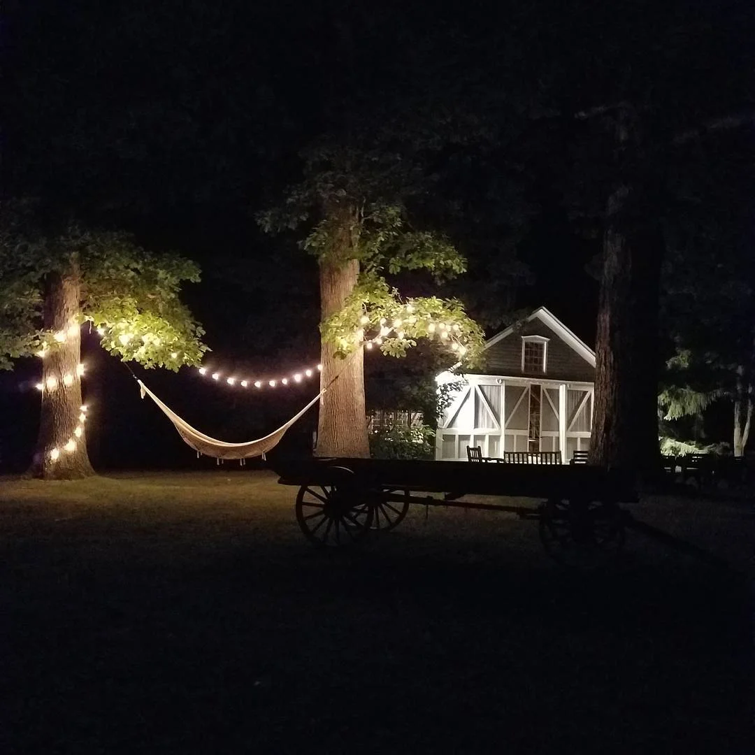 String lights outside the Art Barn