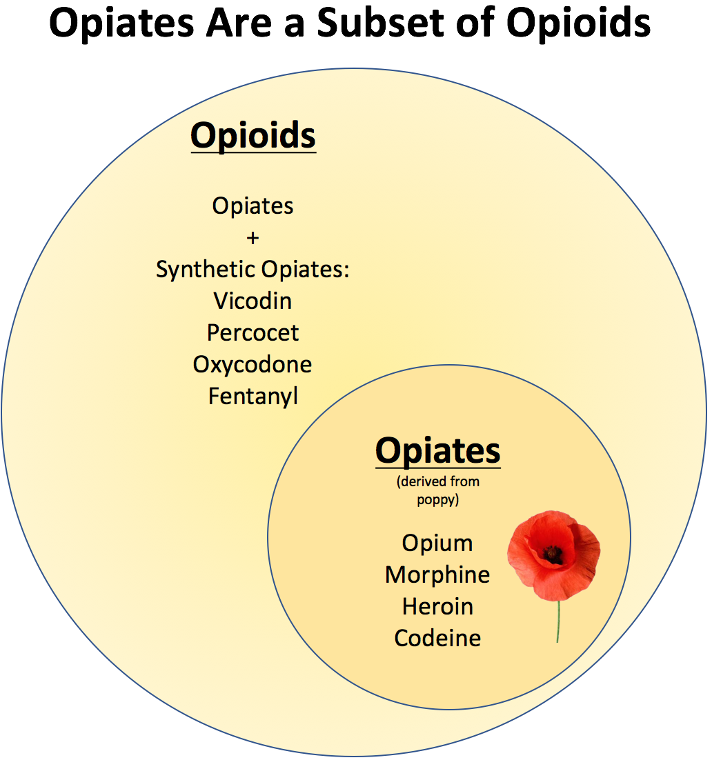 What Does Opiate Mean?