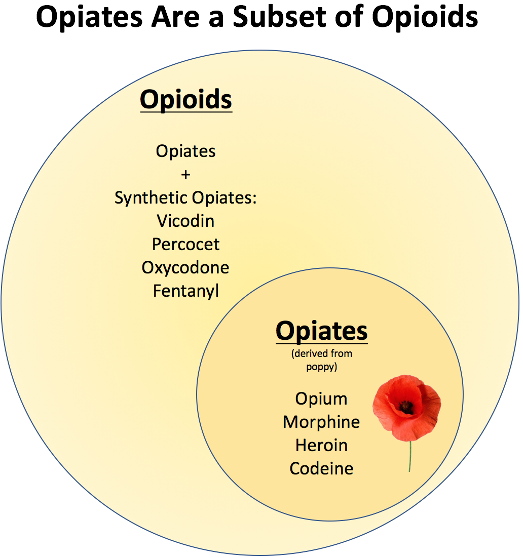 Are Opiates and Opioids the Same?