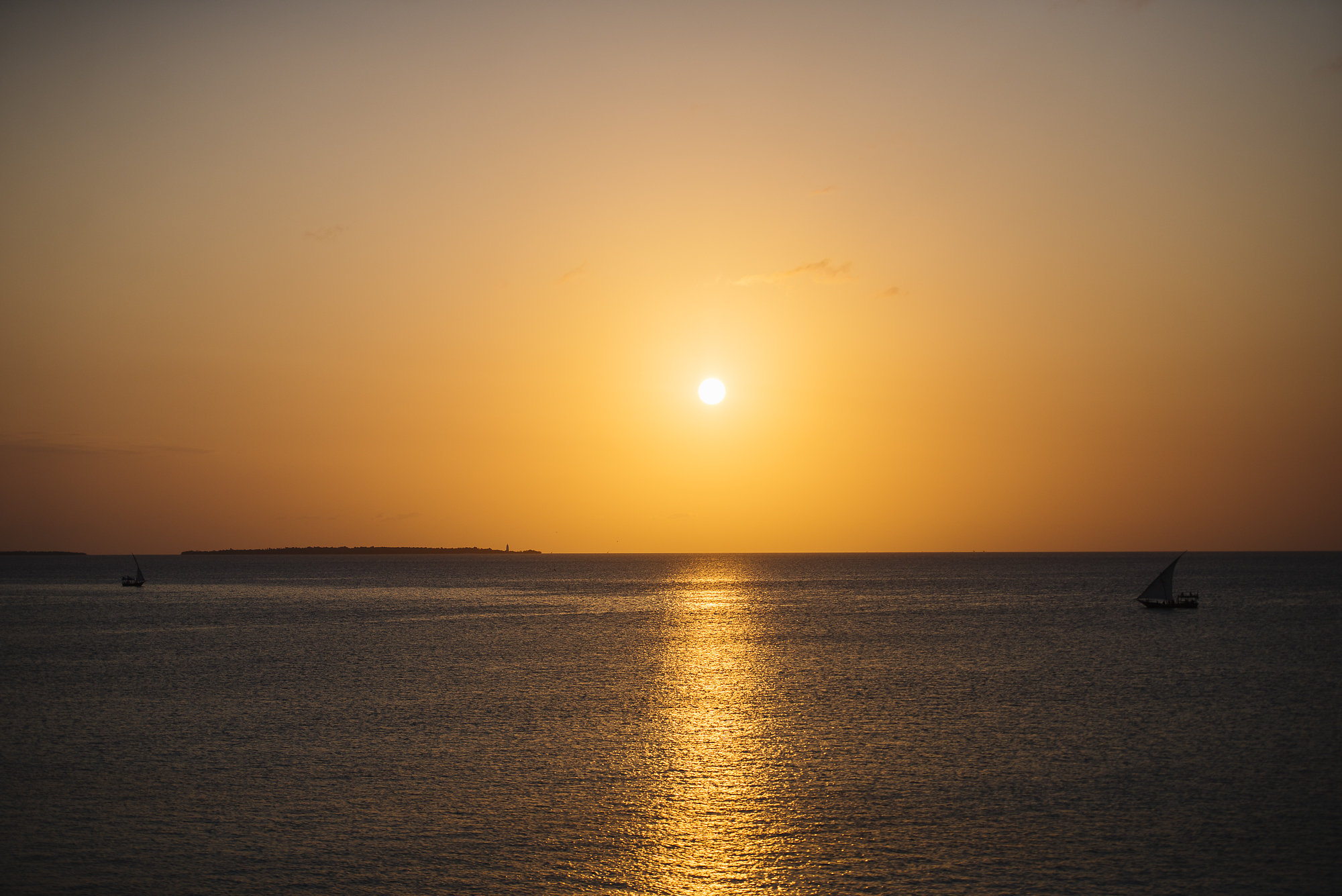 DSC_8102.jpg