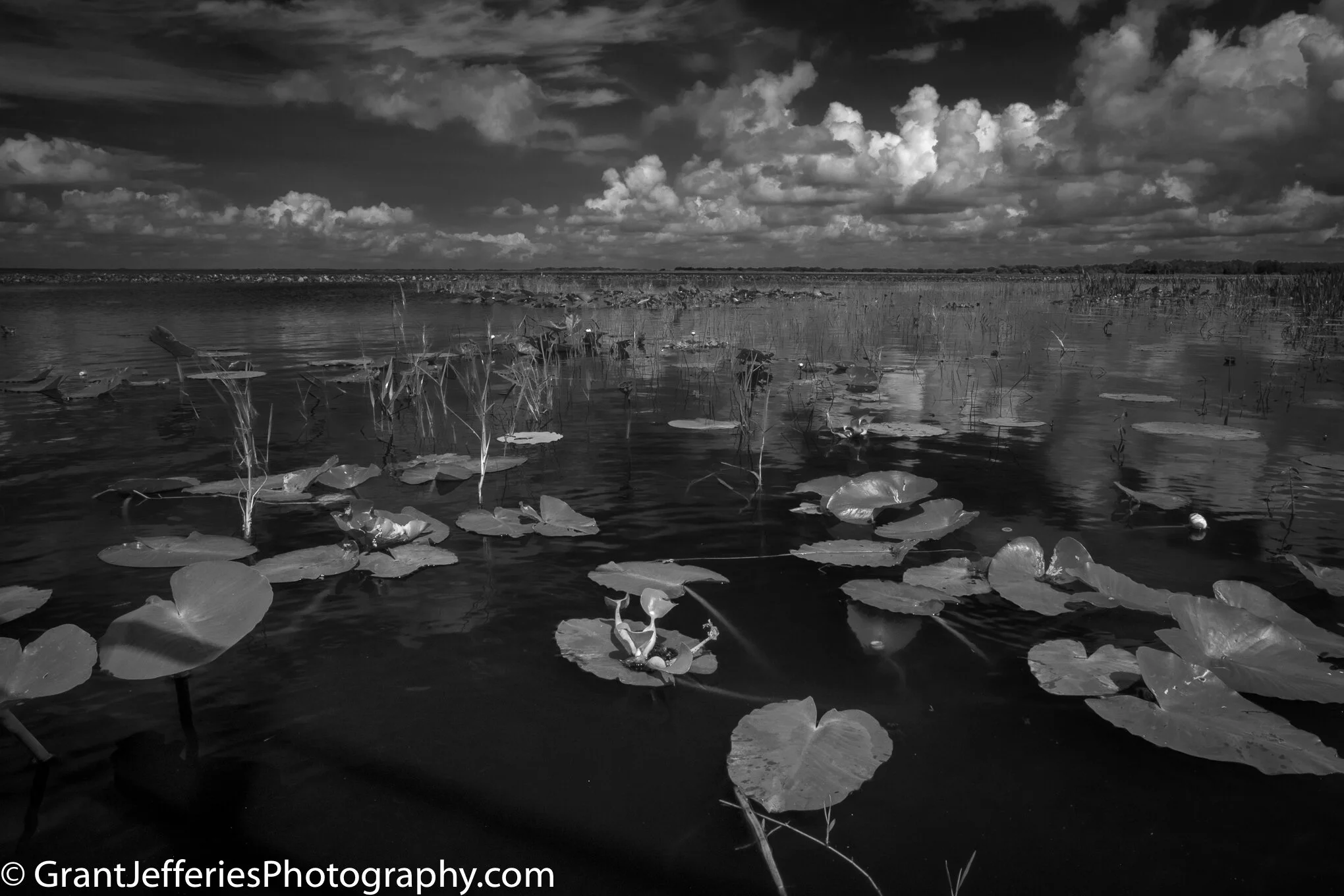 Overstreet_lake_BW_4292.jpg