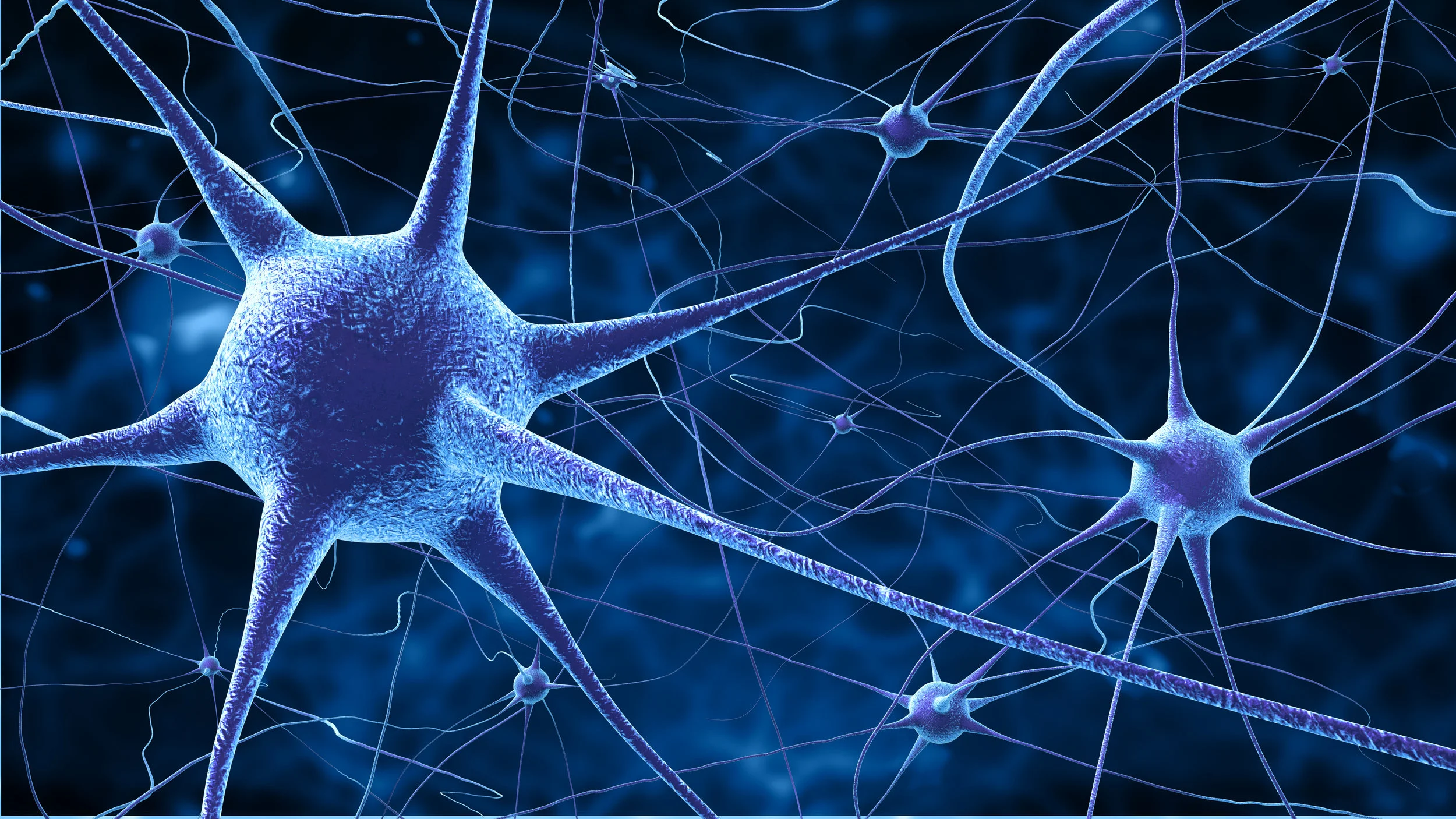 iStock_57938762_XLARGE.jpg