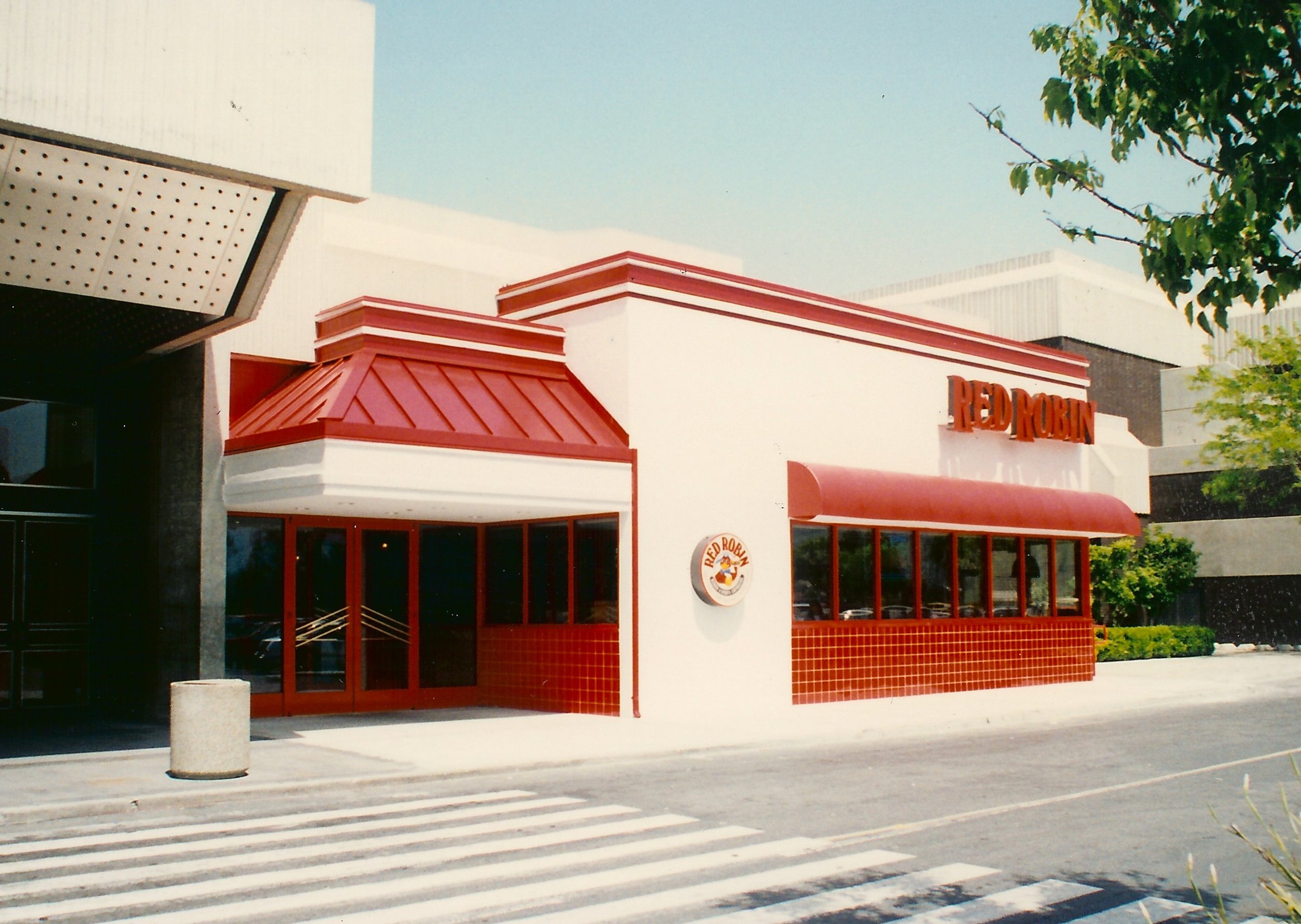 red robin-5.jpg