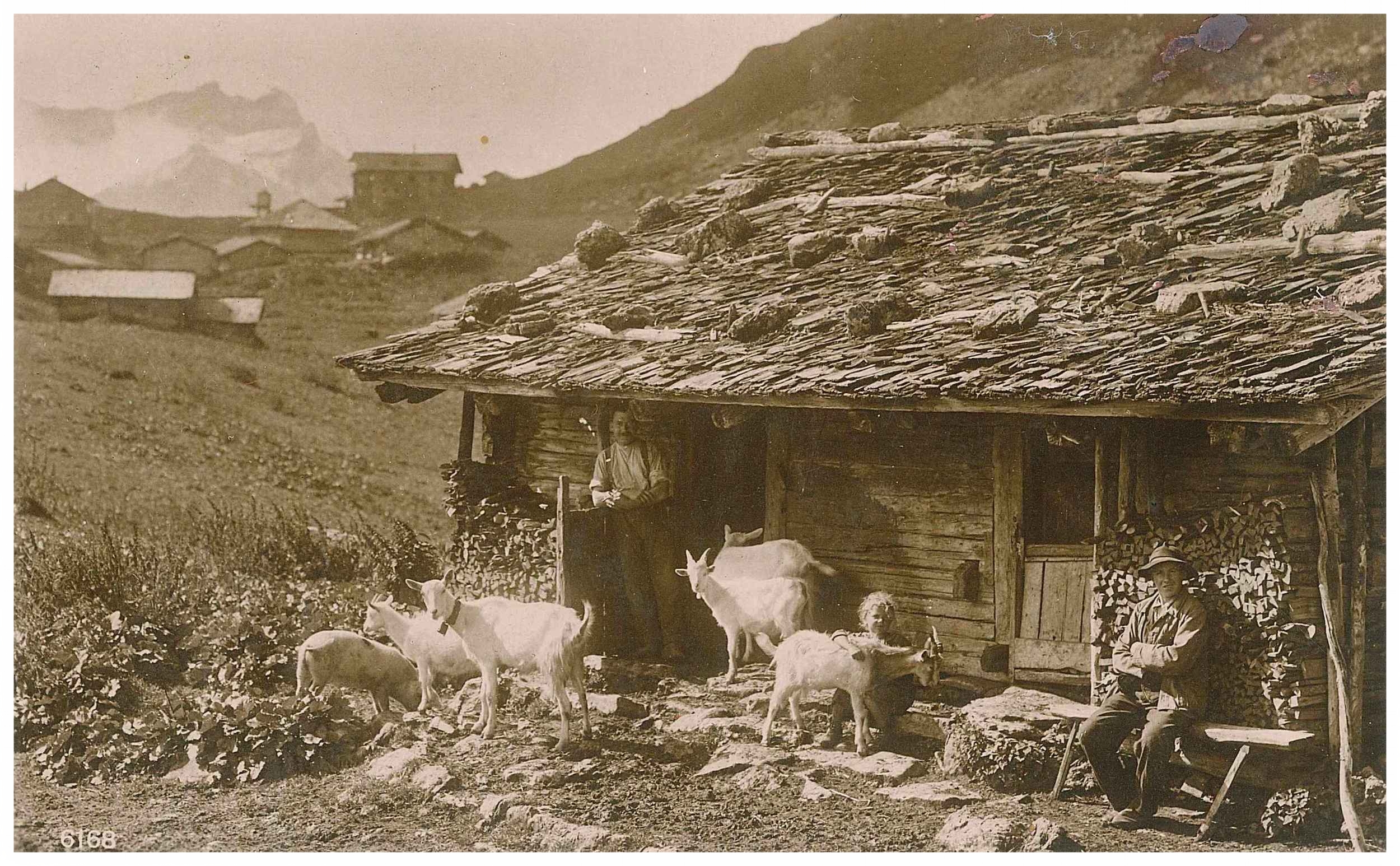 Ziegen vor Hütte ca.1921.jpg