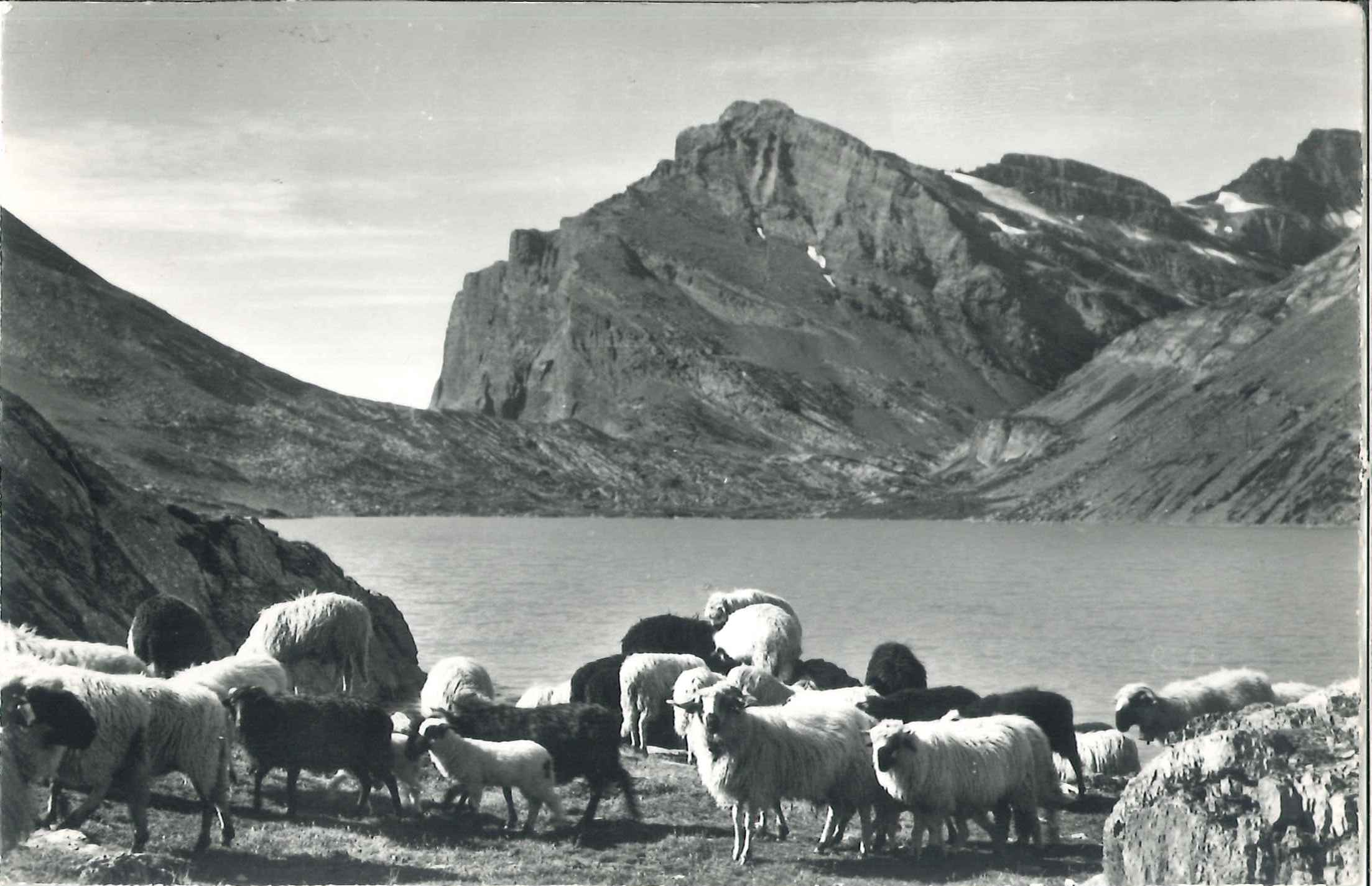 Daubensee am Gemmipass.jpg