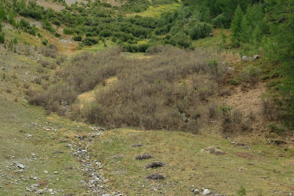 Sichtbarer Erfolg (Turtmanntal, Sept. 2019)