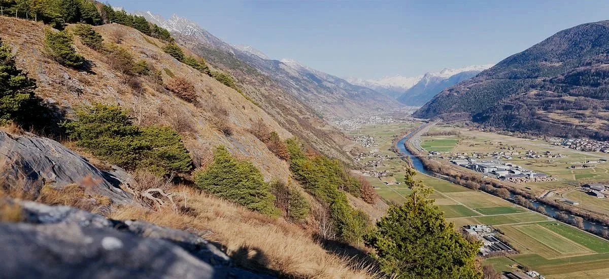Beweidung der Walliser Felsensteppen