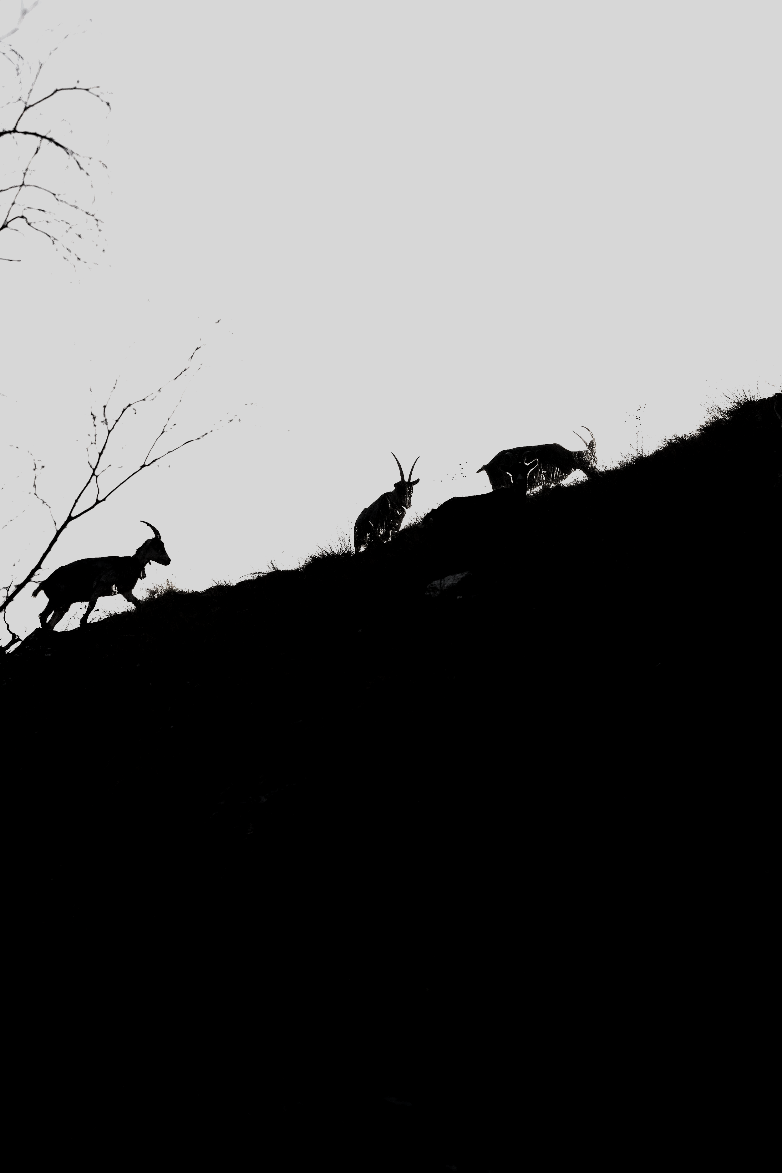  Photo: Raphael Wernli. 